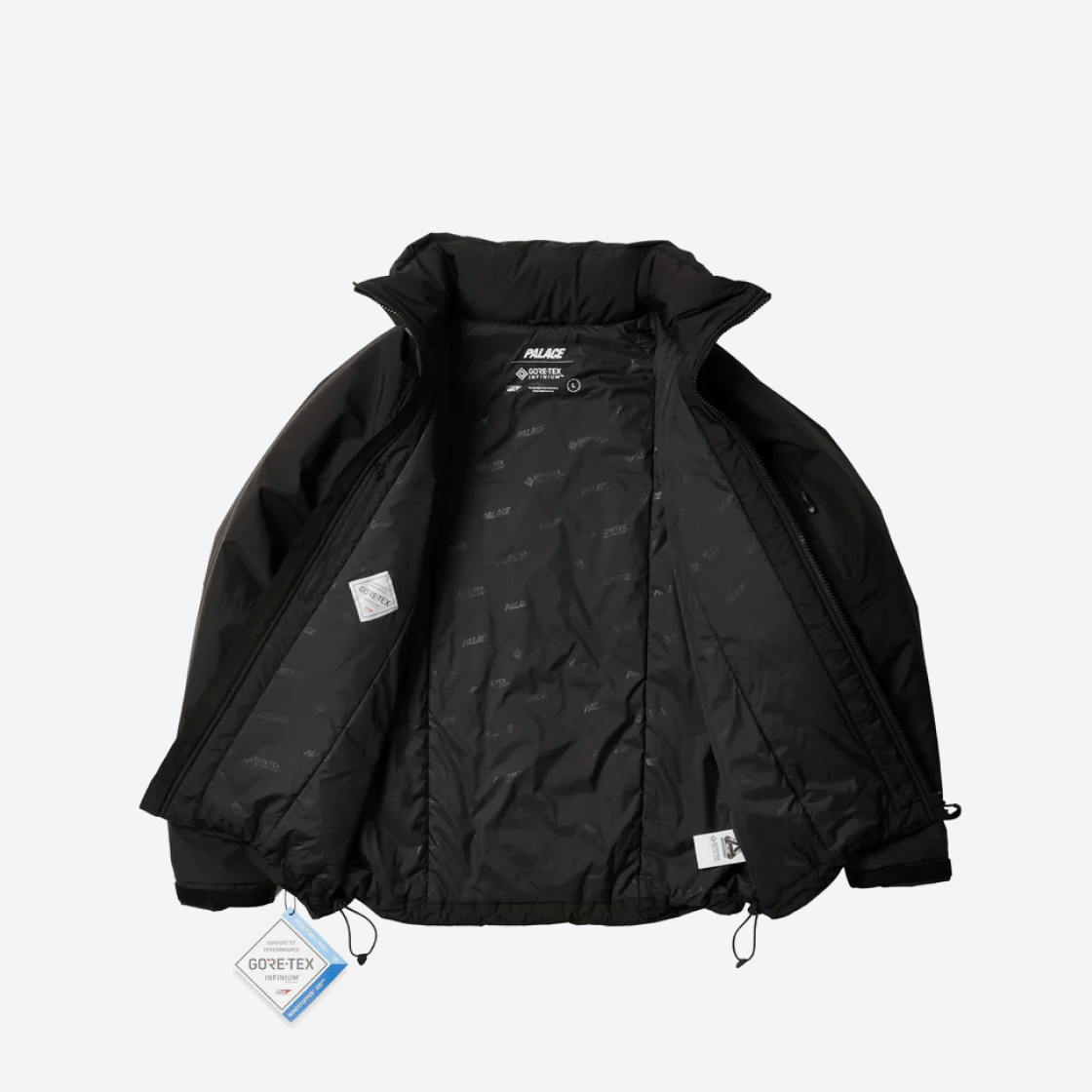 팔라스 고어텍스 인피니움 로프트 자켓 블랙 - 22FW | Palace | KREAM