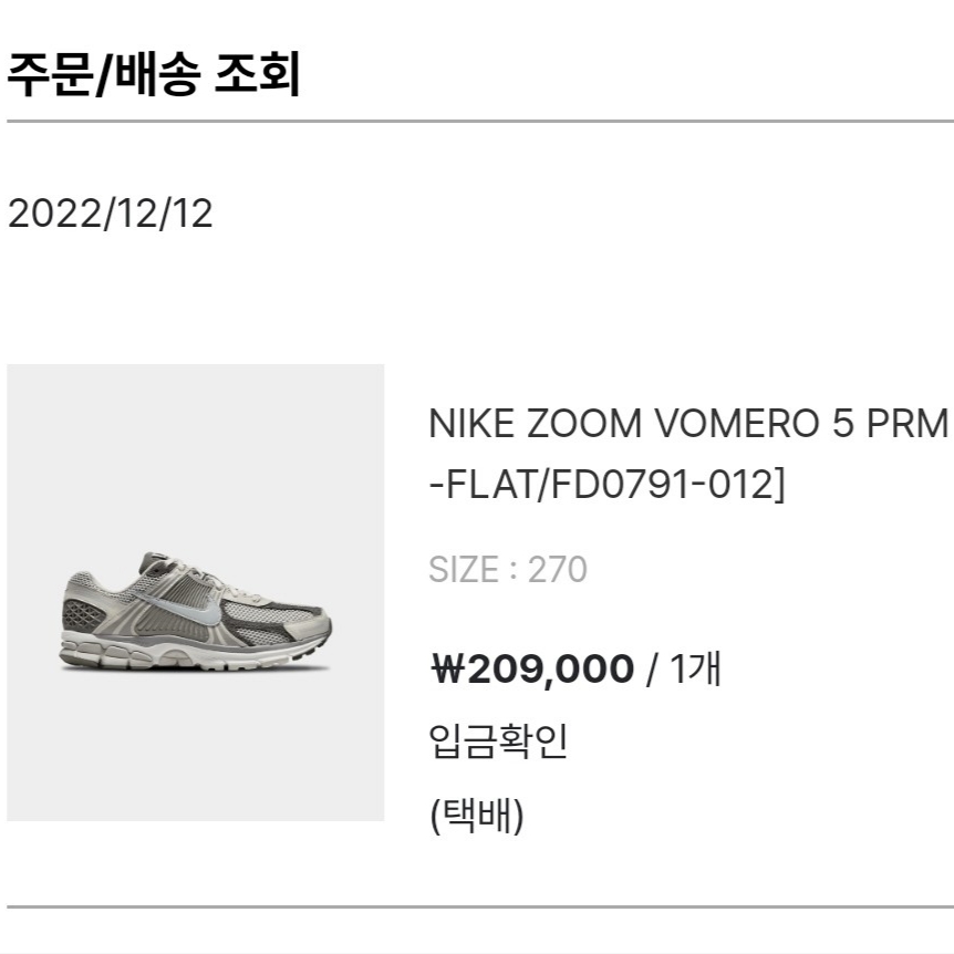 Nike Zoom Vomero 5 PRM Light Iron Ore and Flat Fewter 착용 스타일