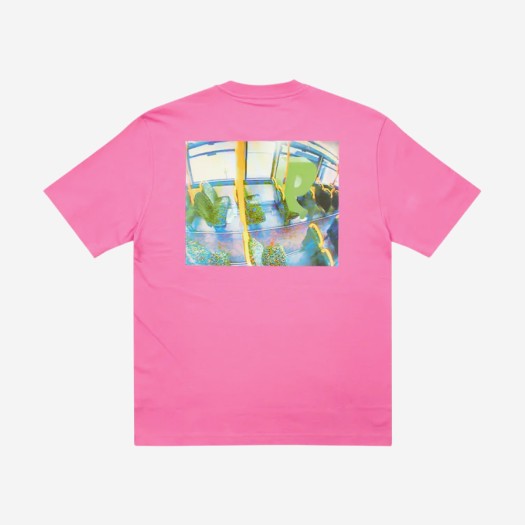 팔라스 백 오브 더 버스 티셔츠 핑크 - 22FW