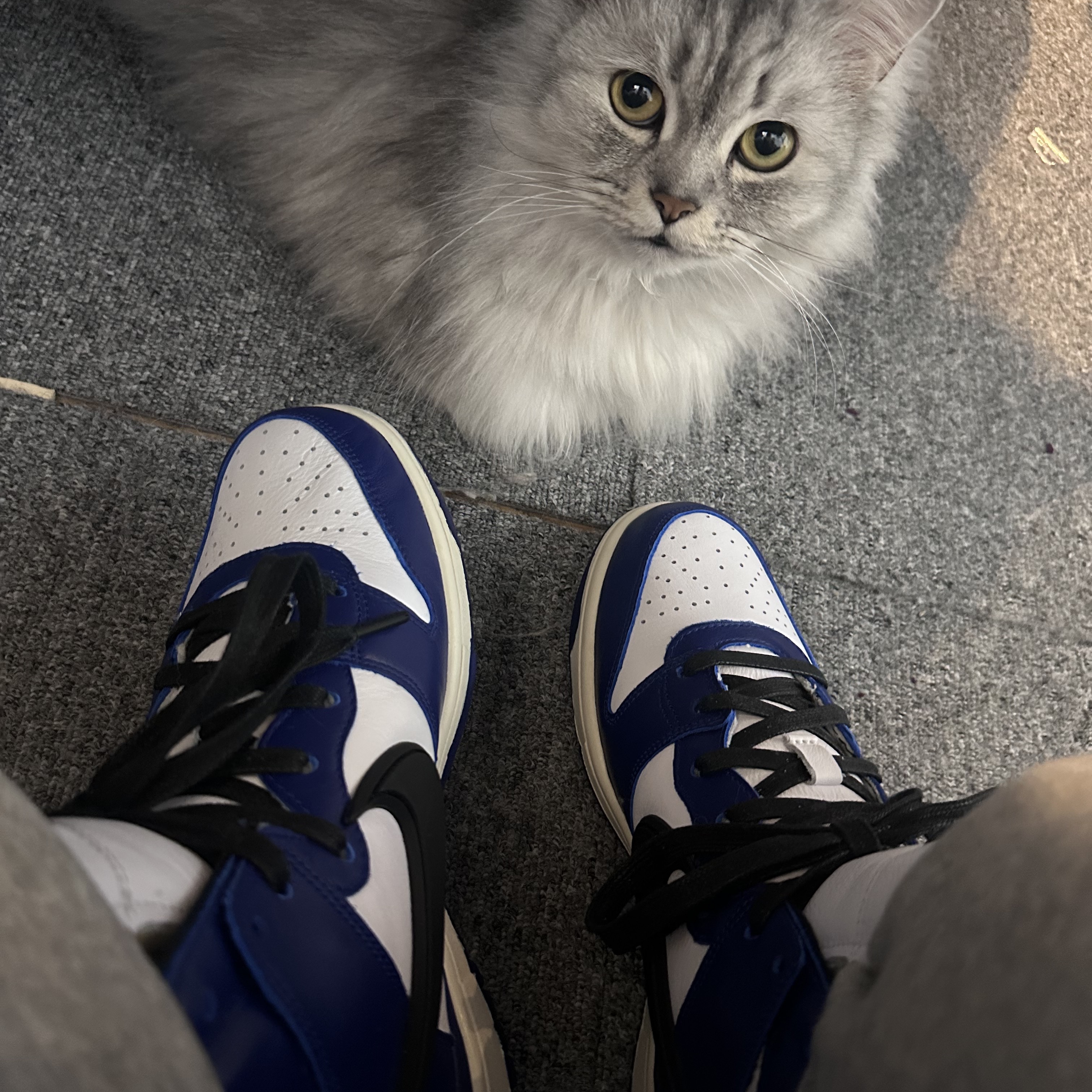 Nike x Ambush Dunk High Deep Royal Blue 착용 스타일 - 2