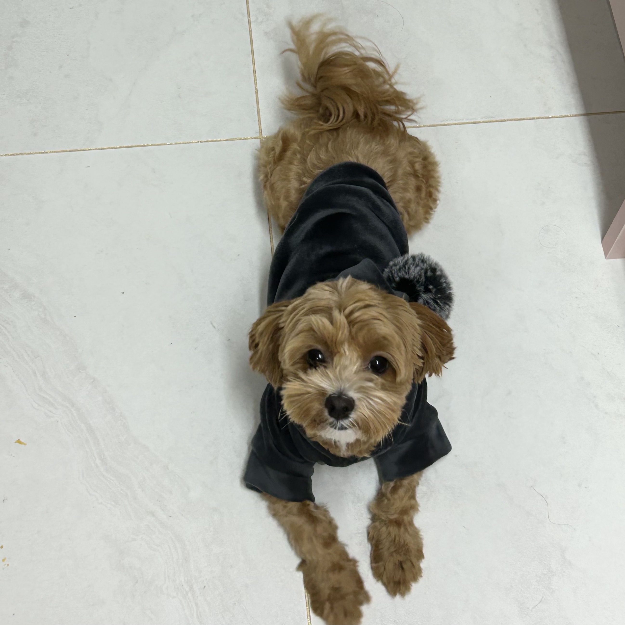 수쪽님의 스타일