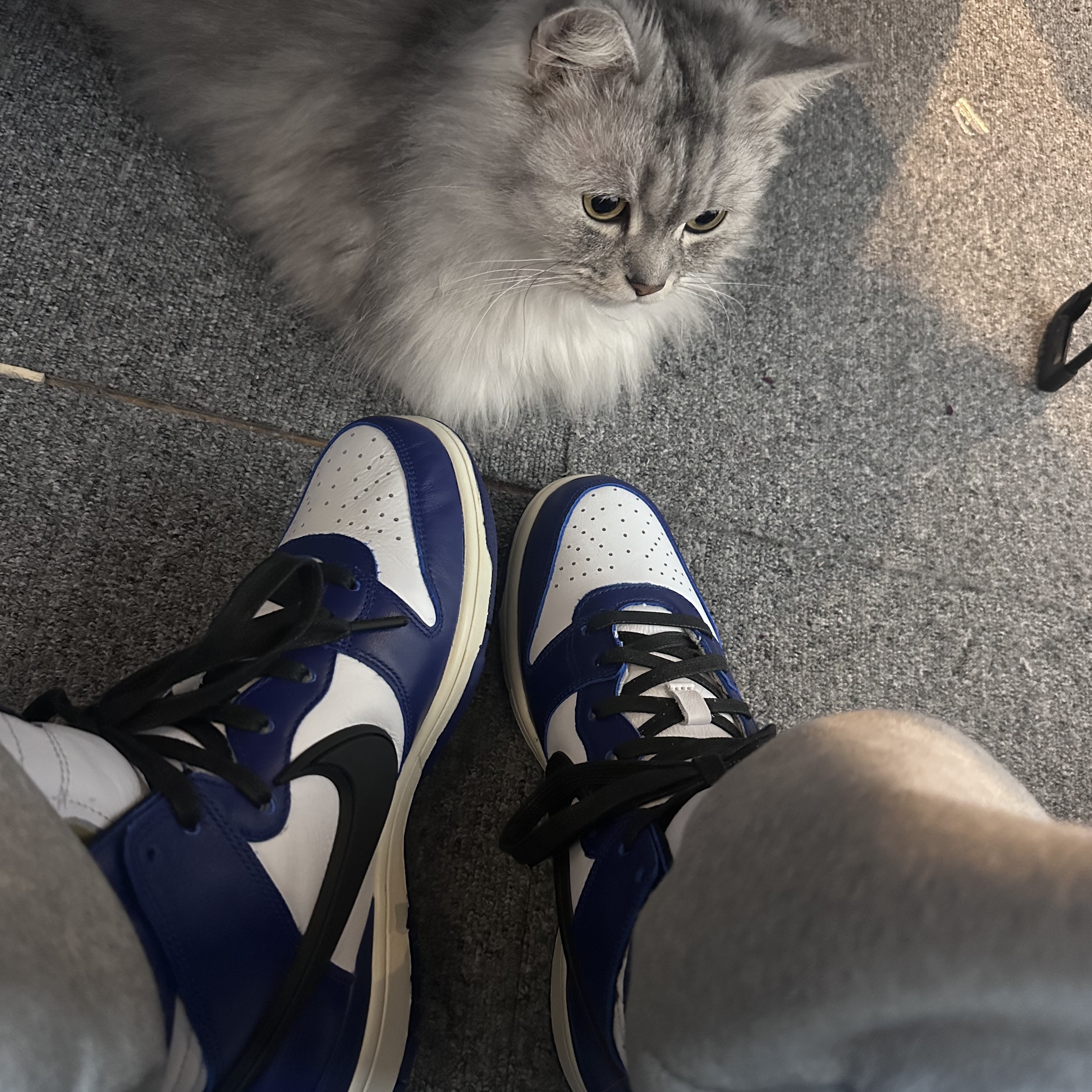 Nike x Ambush Dunk High Deep Royal Blue 착용 스타일 - 1