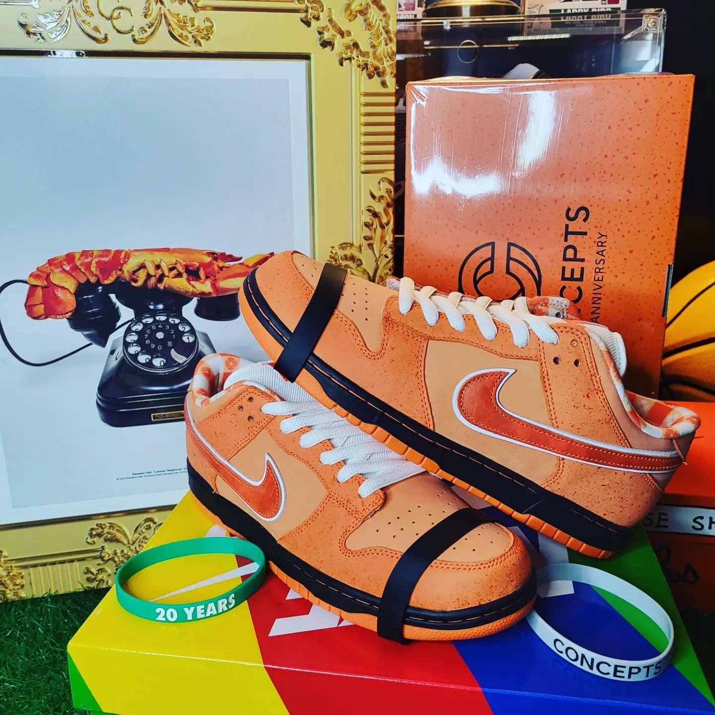 Nike x Concepts SB Dunk Low Orange Lobster (Special Box) 착용 스타일