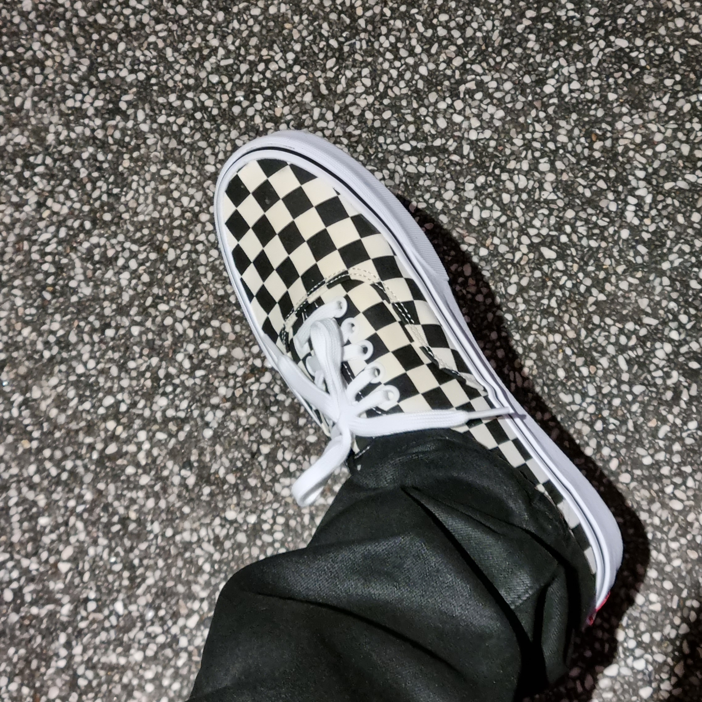 Vans Authentic Golden Coast Checkerboard 착용 스타일 - 1