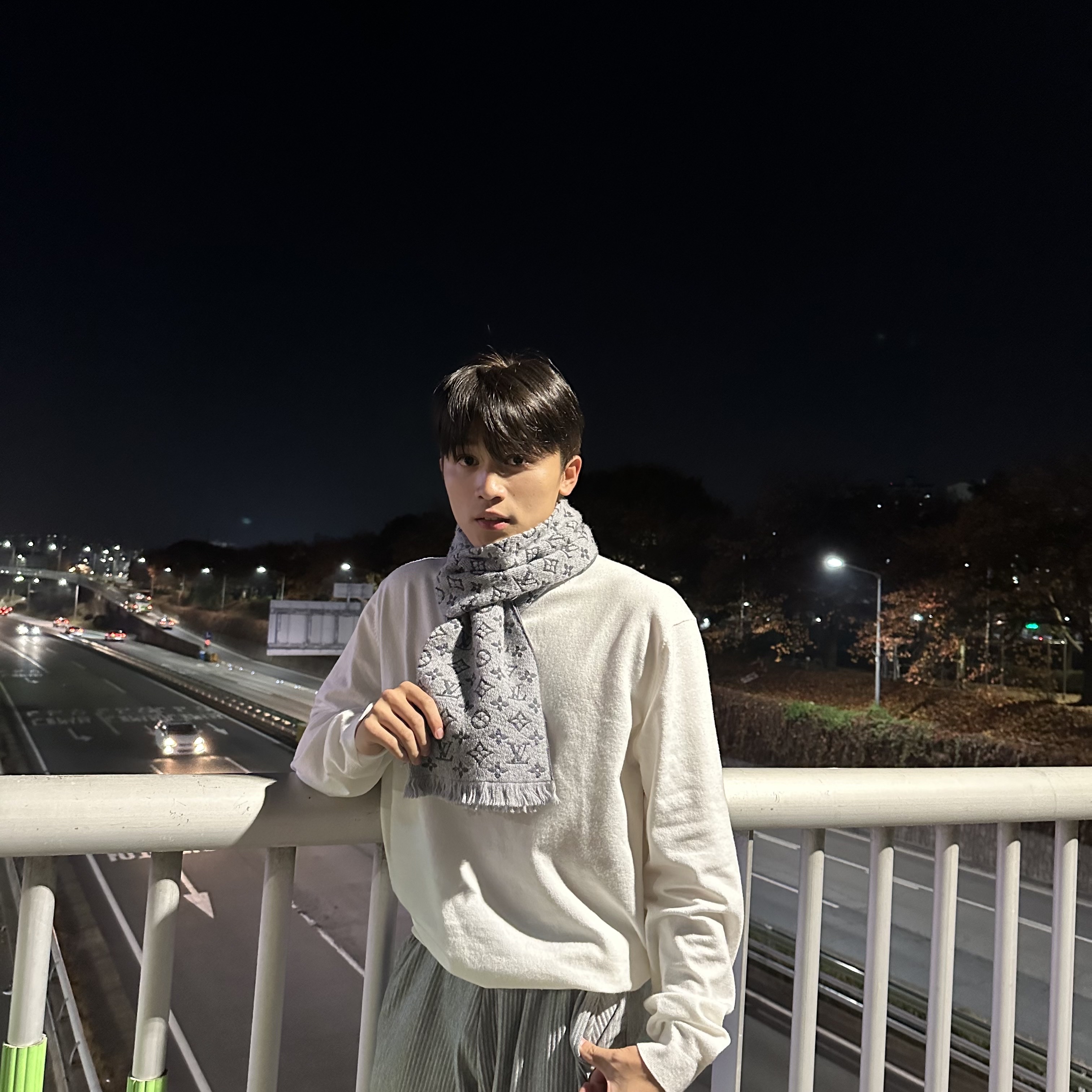 Louis Vuitton Monogram Classic Muffler Light Grey 착용 스타일