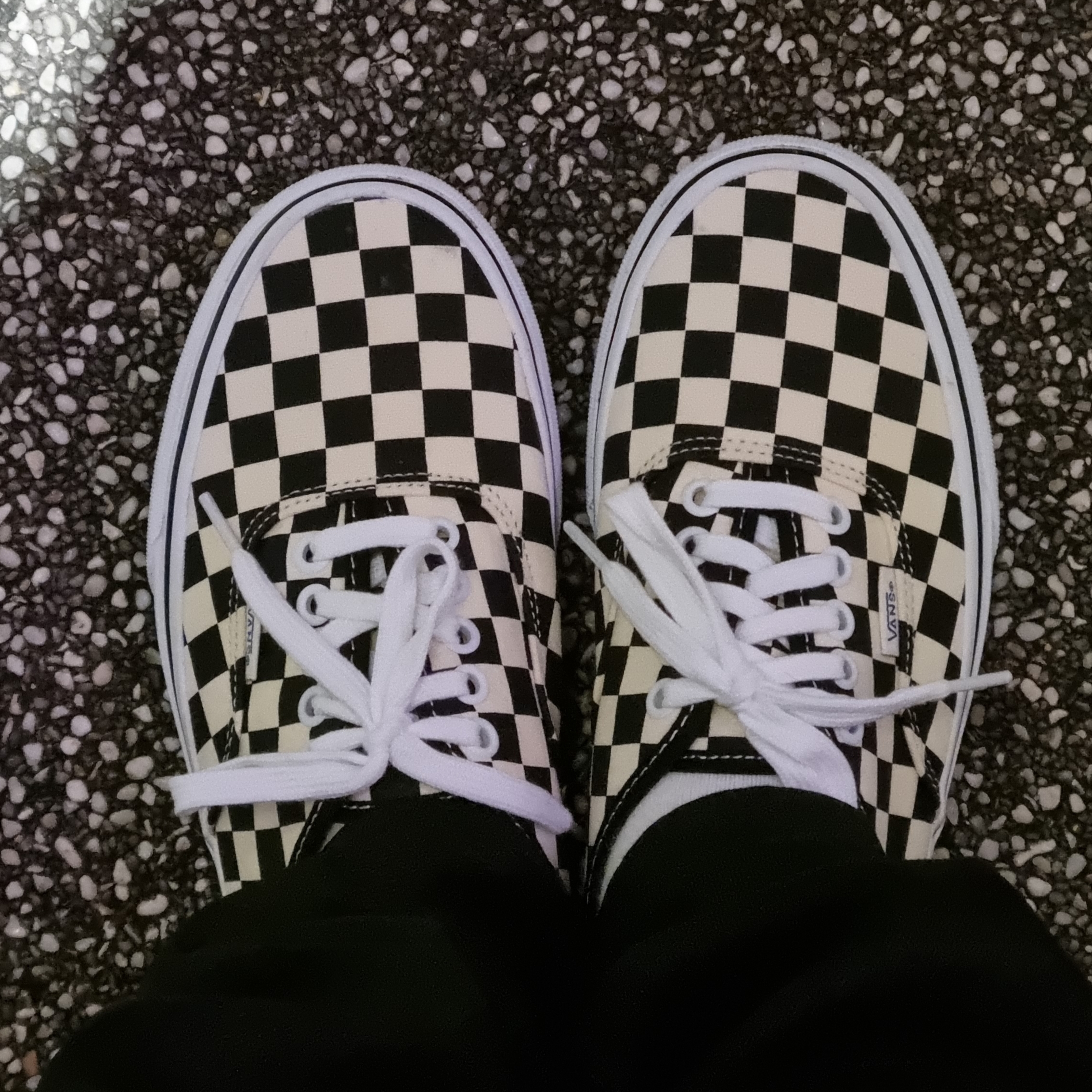 Vans Authentic Golden Coast Checkerboard 착용 스타일 - 2