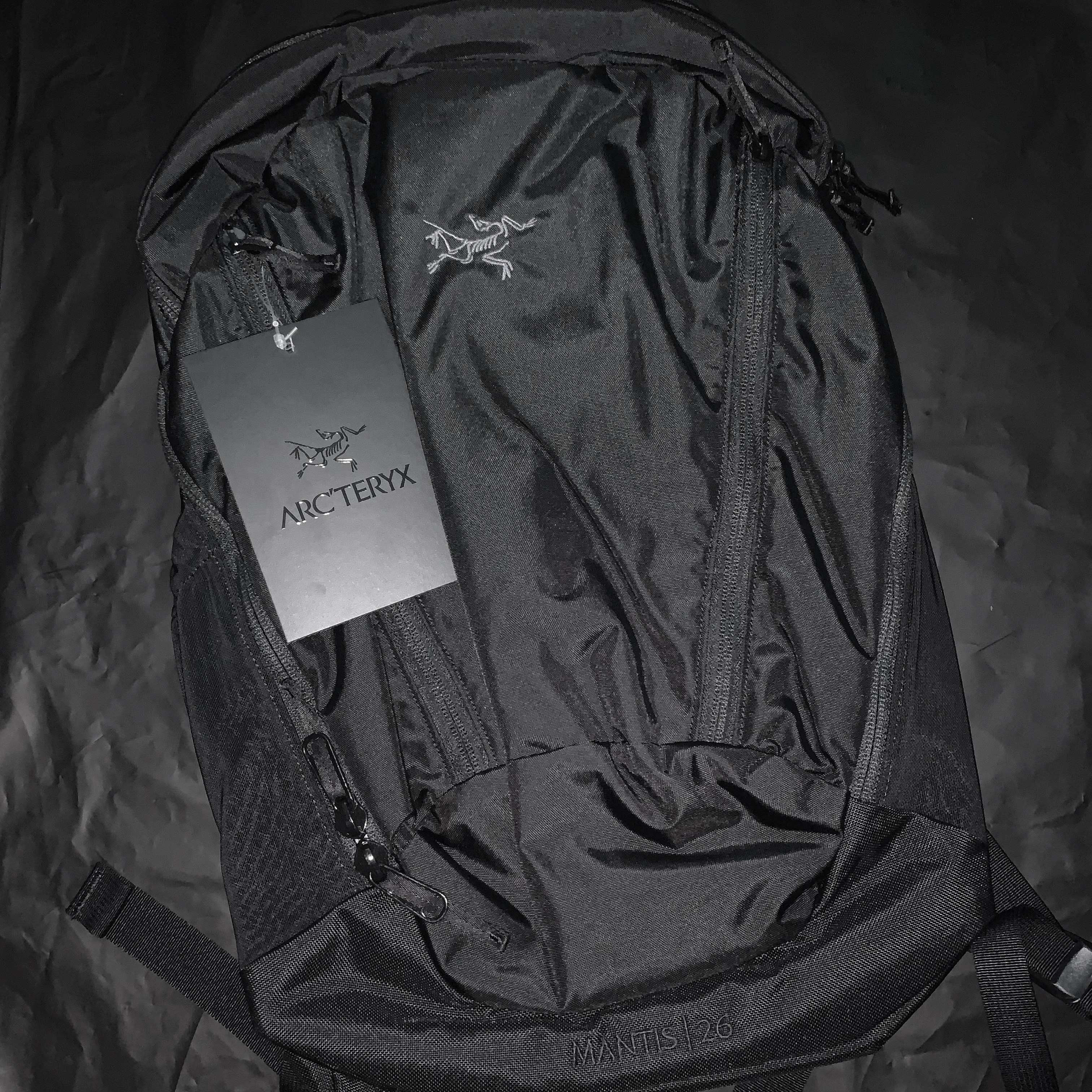 Arc'teryx Mantis 26 Backpack Black 착용 스타일