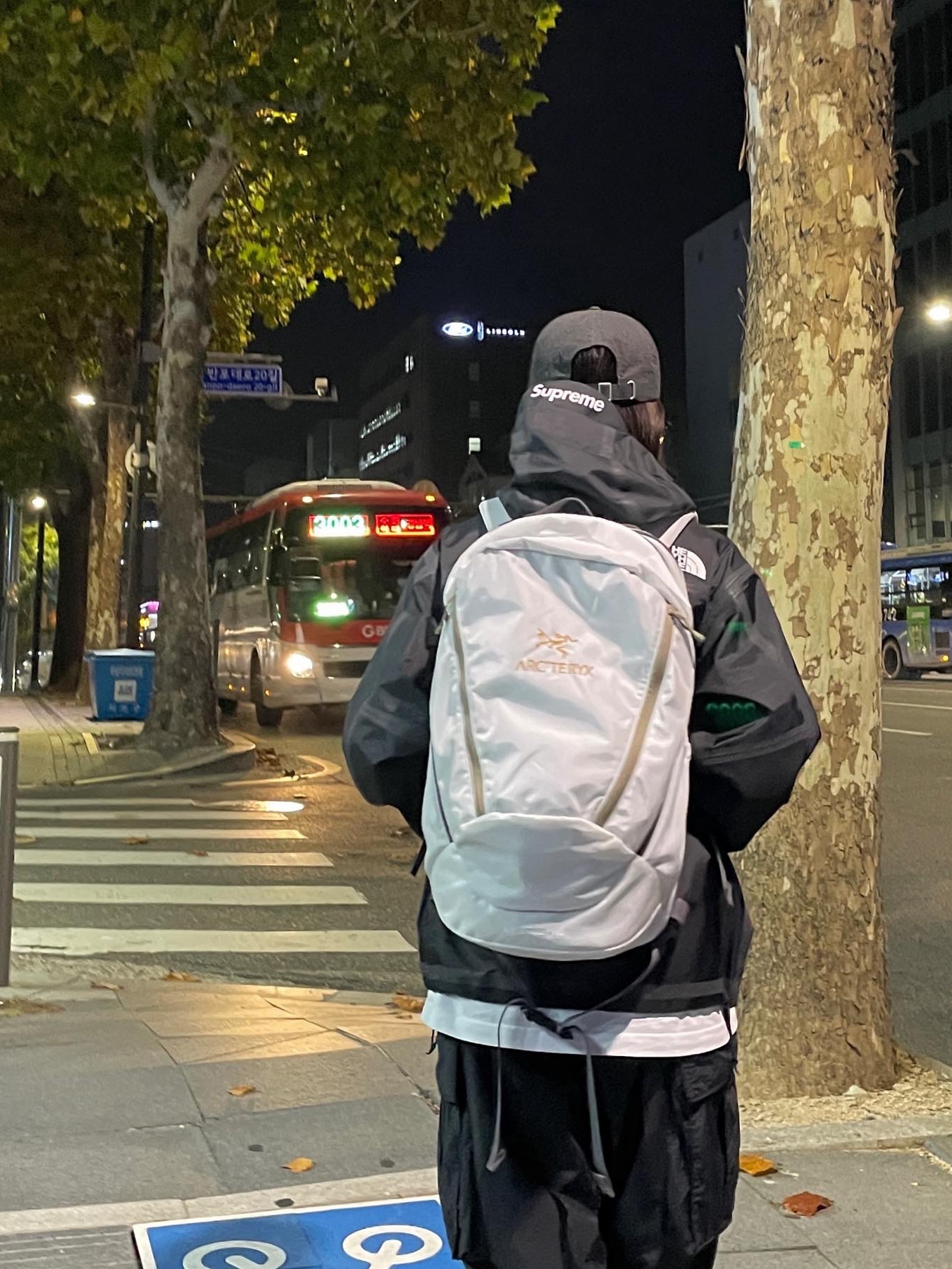 Stussy Bio Washed Big Logo Low Pro Cap Black, Supreme x The North Face Summit Series Outer Tape Seam Jacket Black - 21SS 착용 스타일 - 2