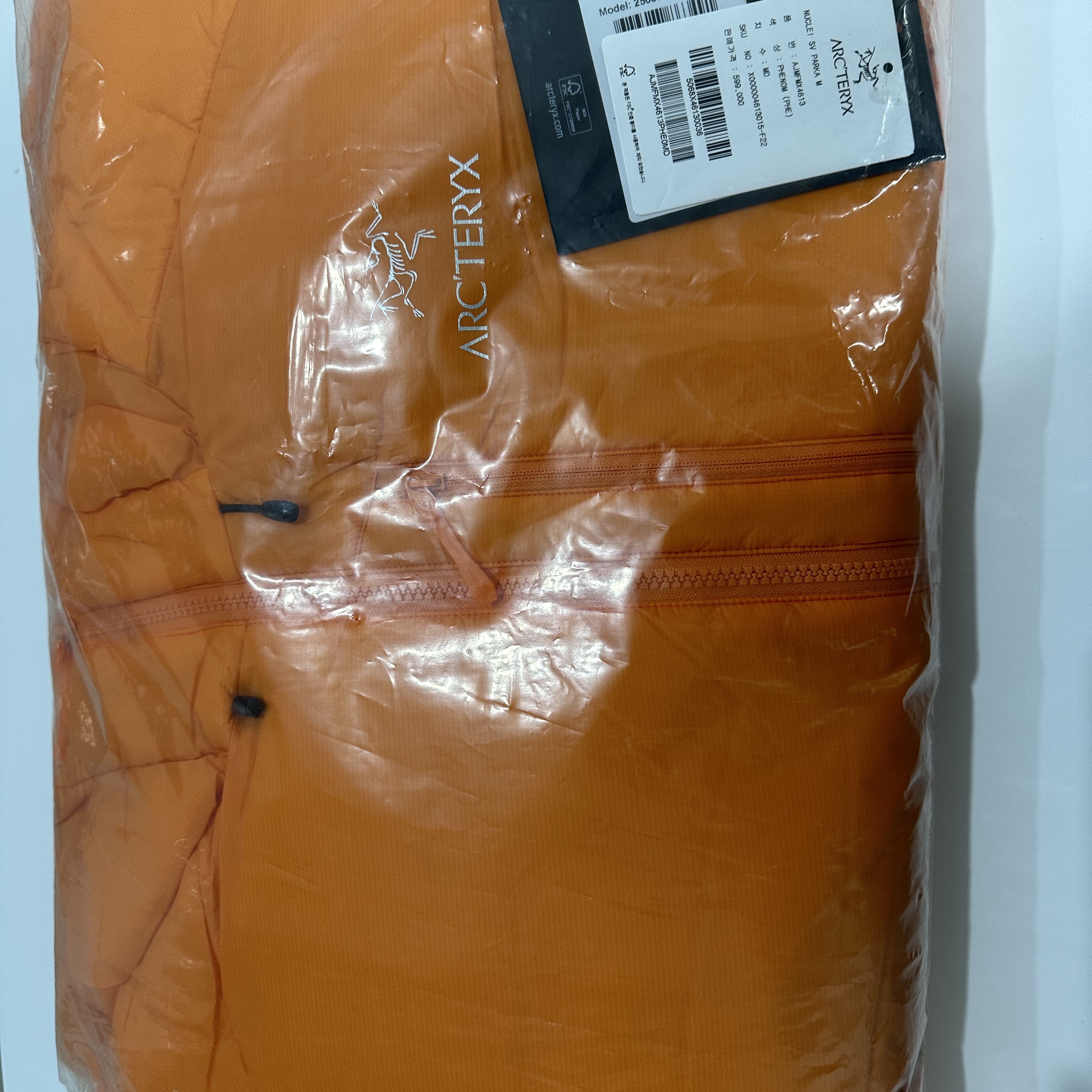 Arc'teryx Nuclei SV Parka Phenom 착용 스타일 - 1