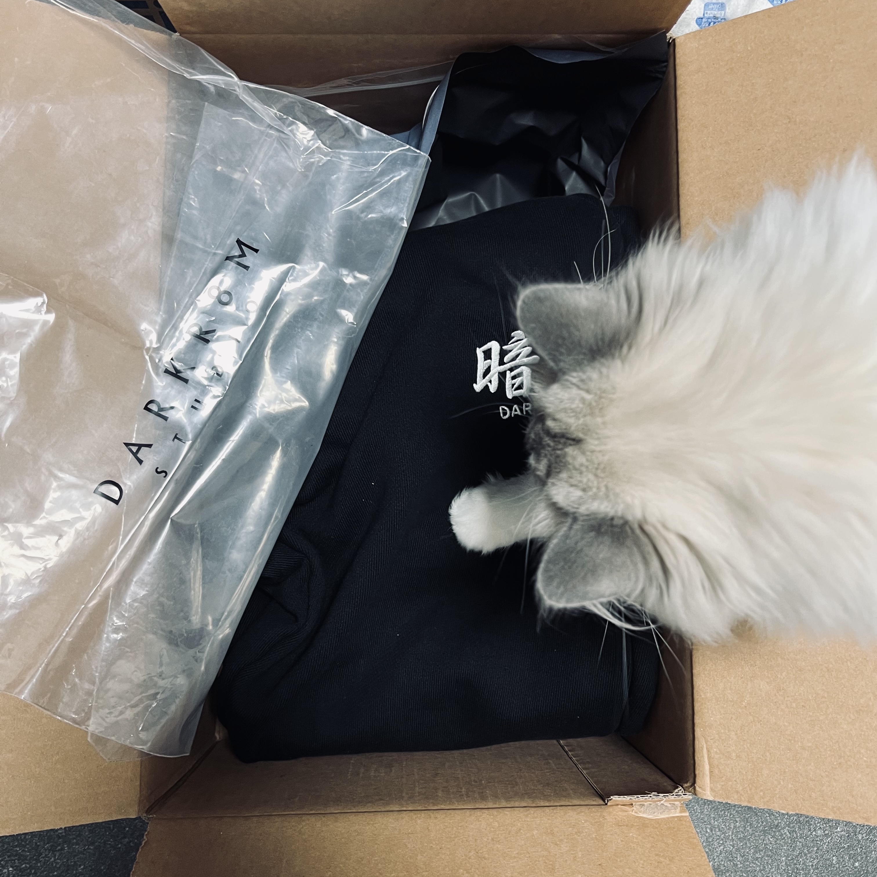 Darkr8m Studio Basic Logo Sweatpants Black 착용 스타일 - 1