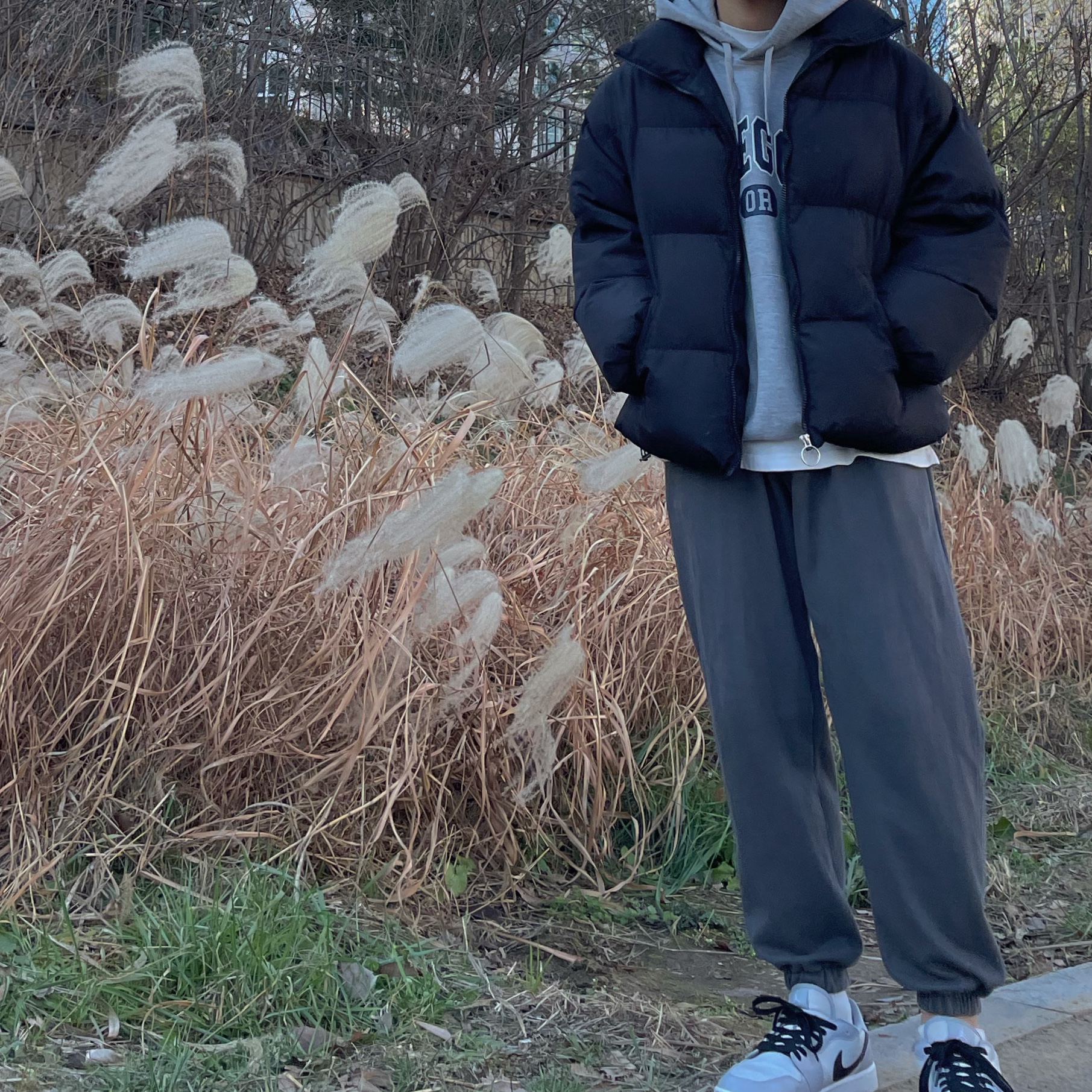 Jordan 1 Low Golf Wolf Grey 착용 스타일 - 1
