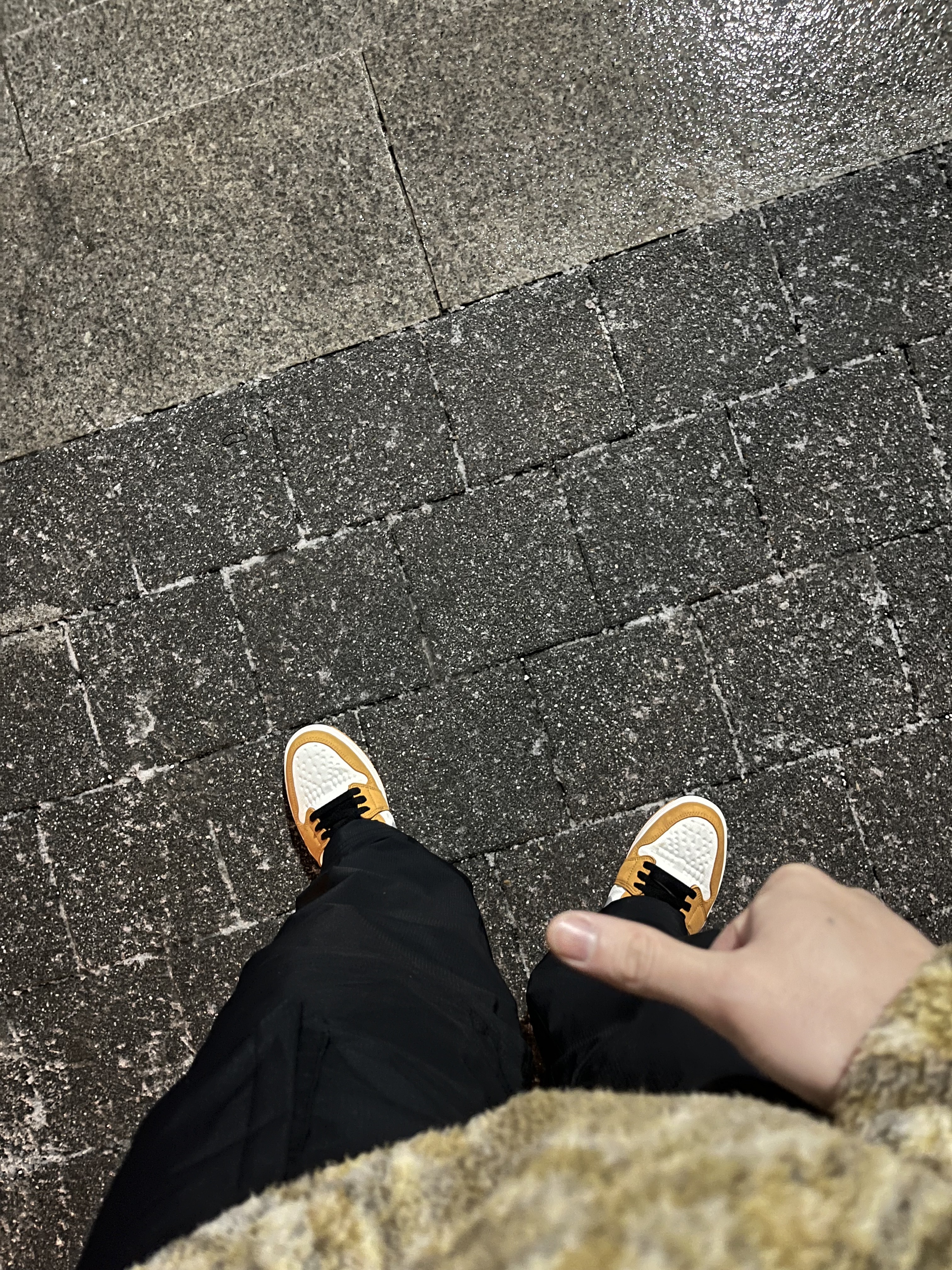 Jordan 1 Element Gore-Tex Light Curry, Supreme x Nike ACG Fleece Pullover Gold Snakeskin - 22FW 착용 스타일 - 2