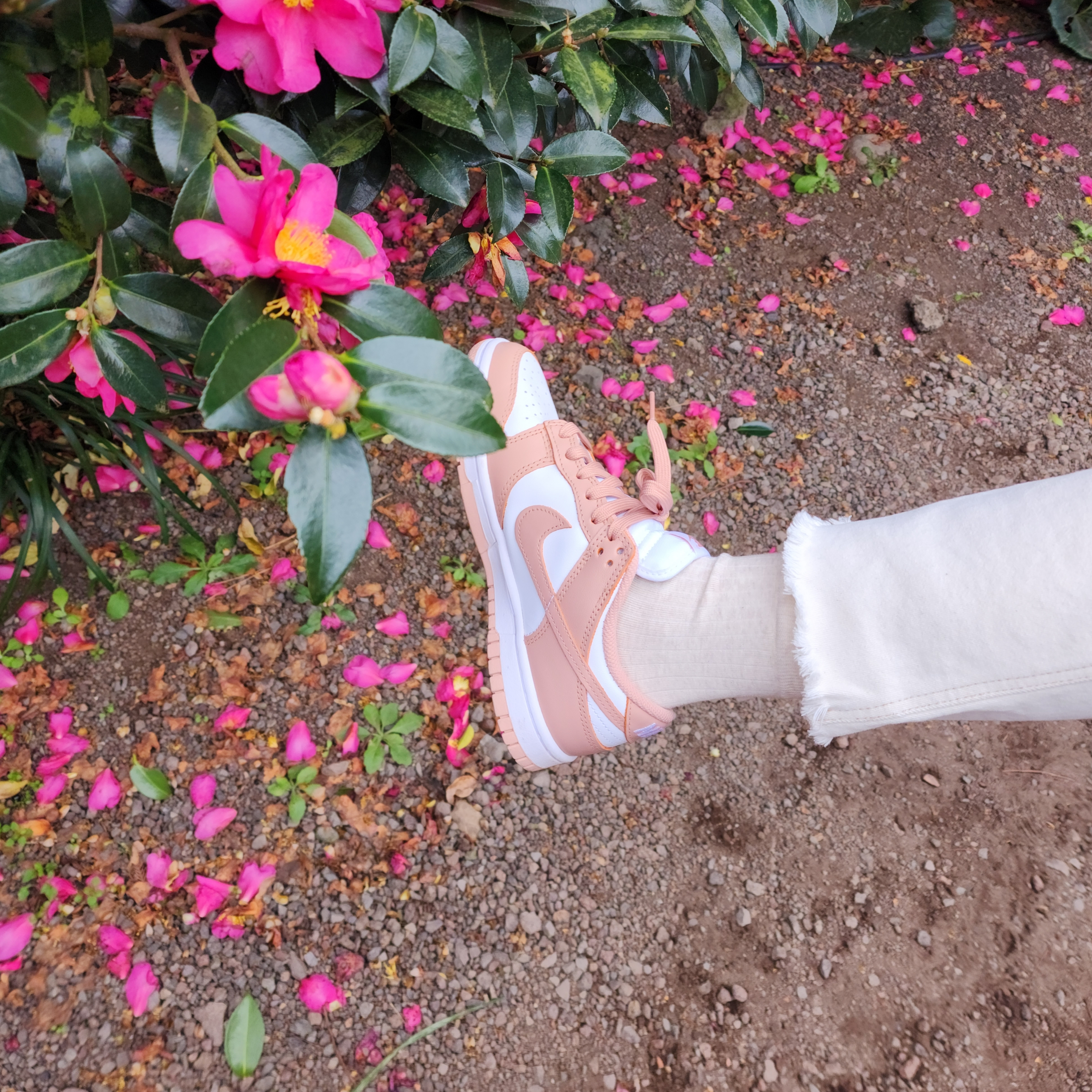 (W) Nike Dunk Low Rose Whisper 착용 스타일 - 1