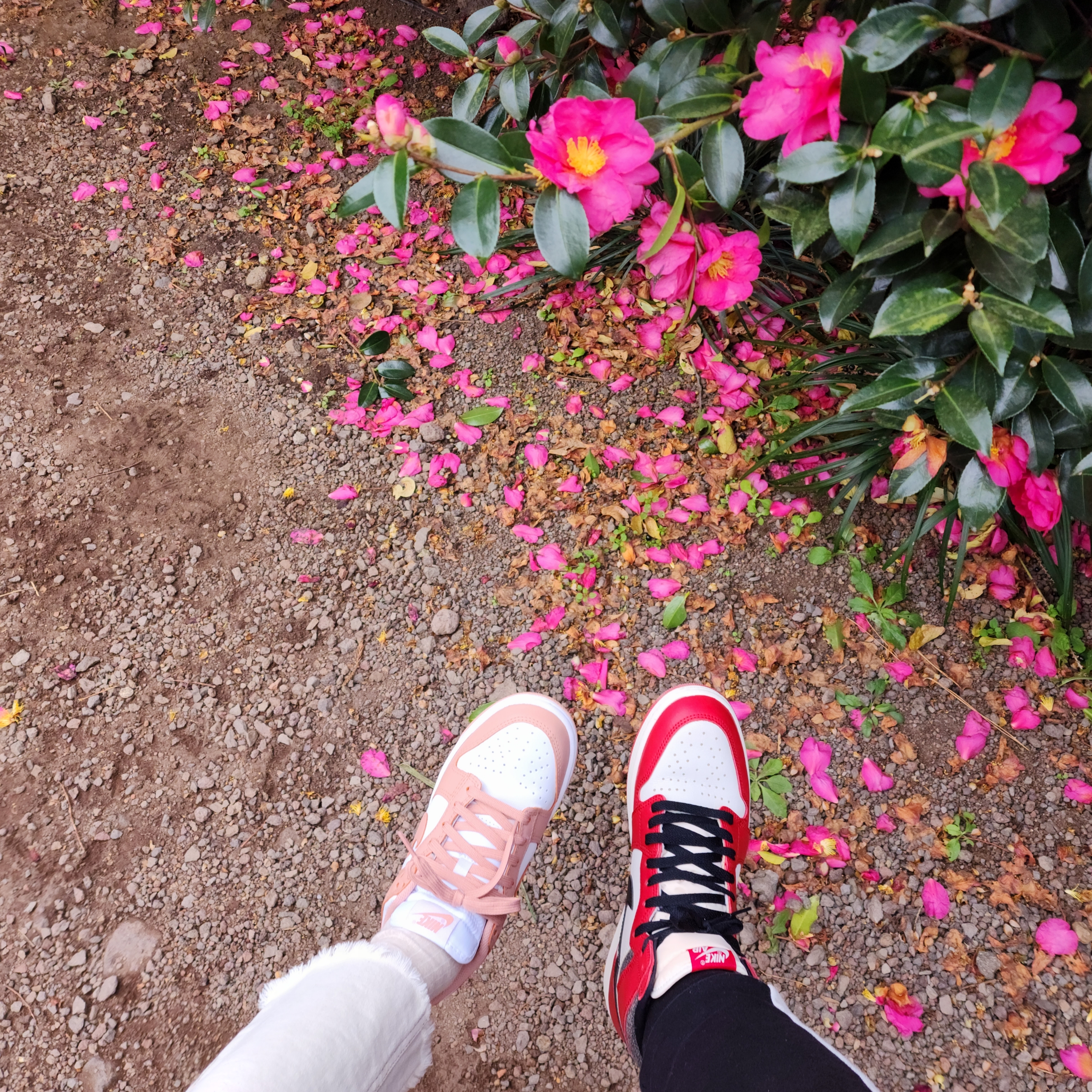 (W) Nike Dunk Low Rose Whisper 착용 스타일 - 2