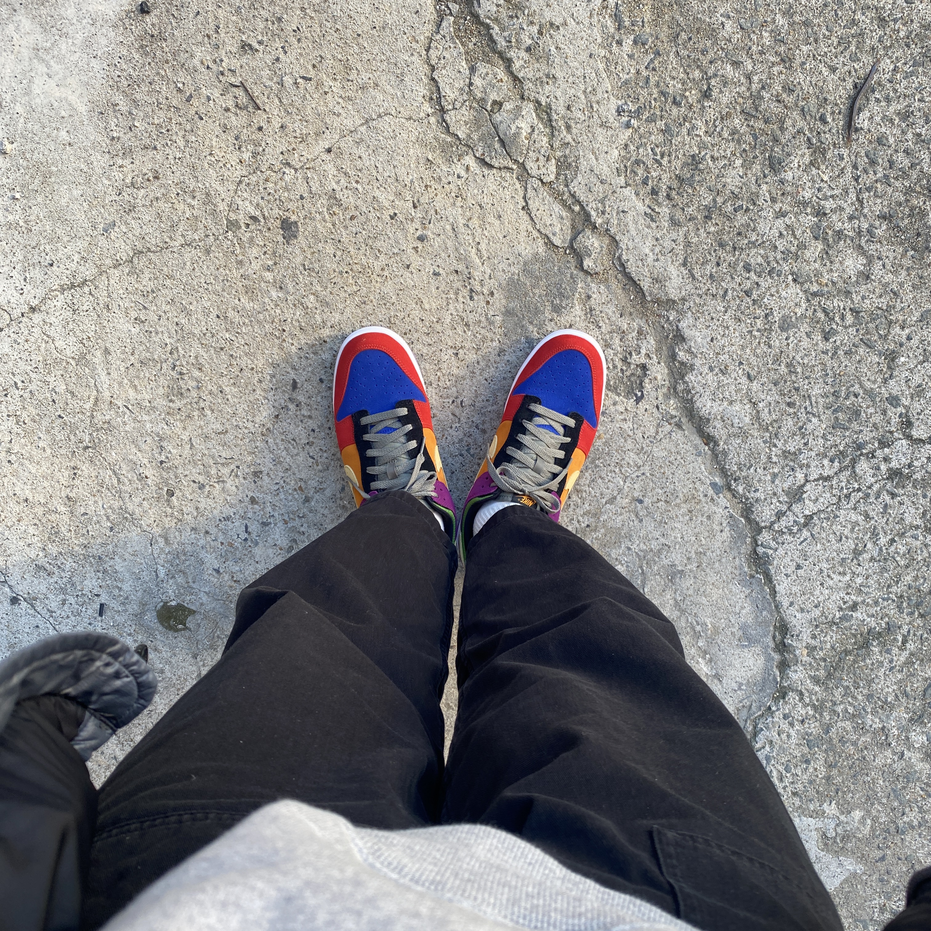 Nike Dunk Low SP Retro Viotech 2019 착용 스타일