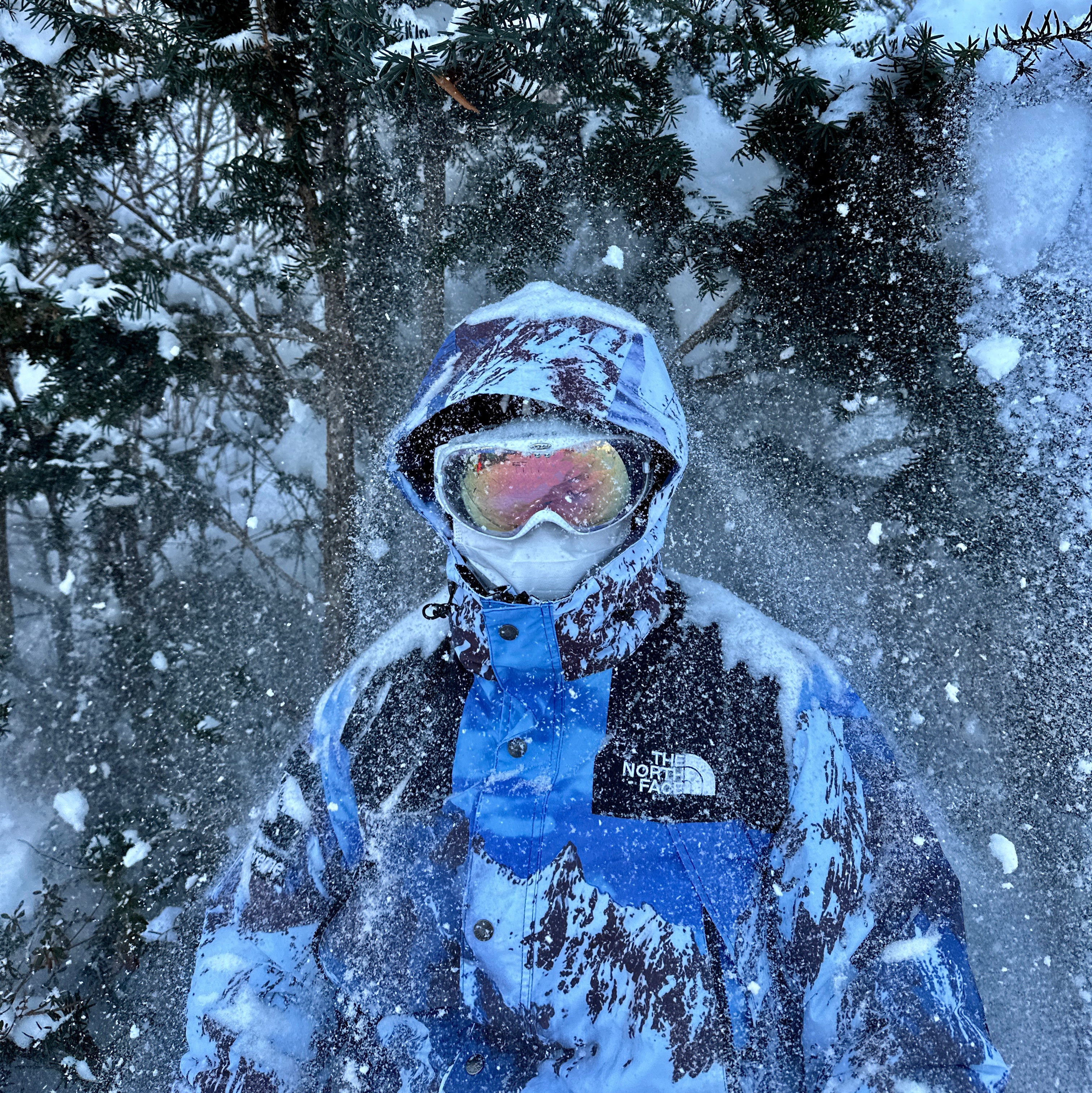 Supreme x The North Face Mountain Parka Blue White - 17FW 착용 스타일