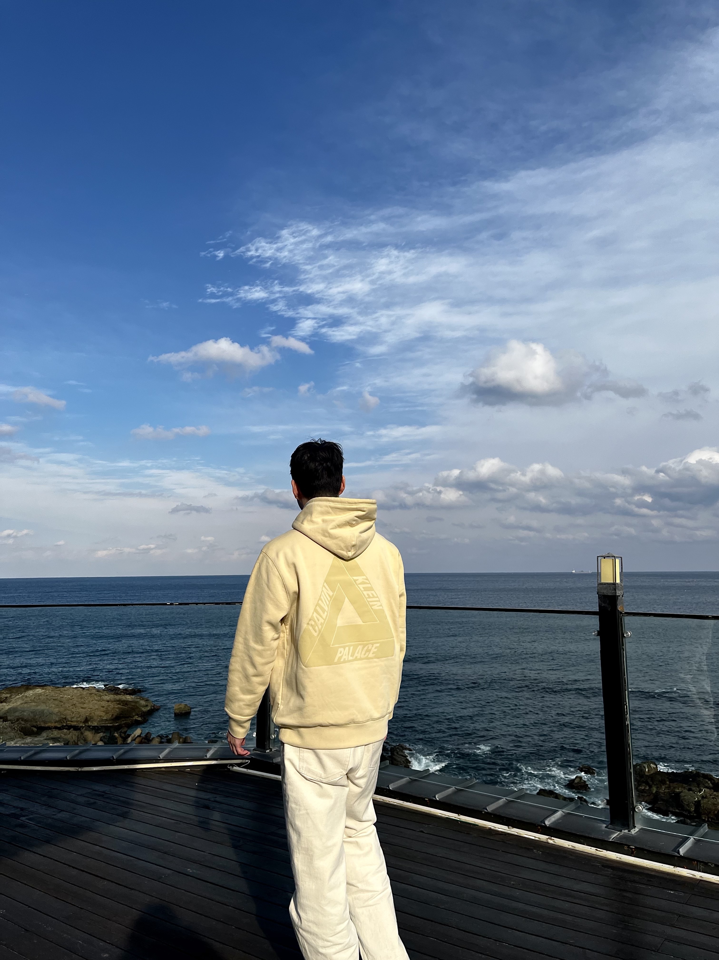 Palace x CK1 Tri-Ferg Hood Wheat - 22SS 착용 스타일 - 2