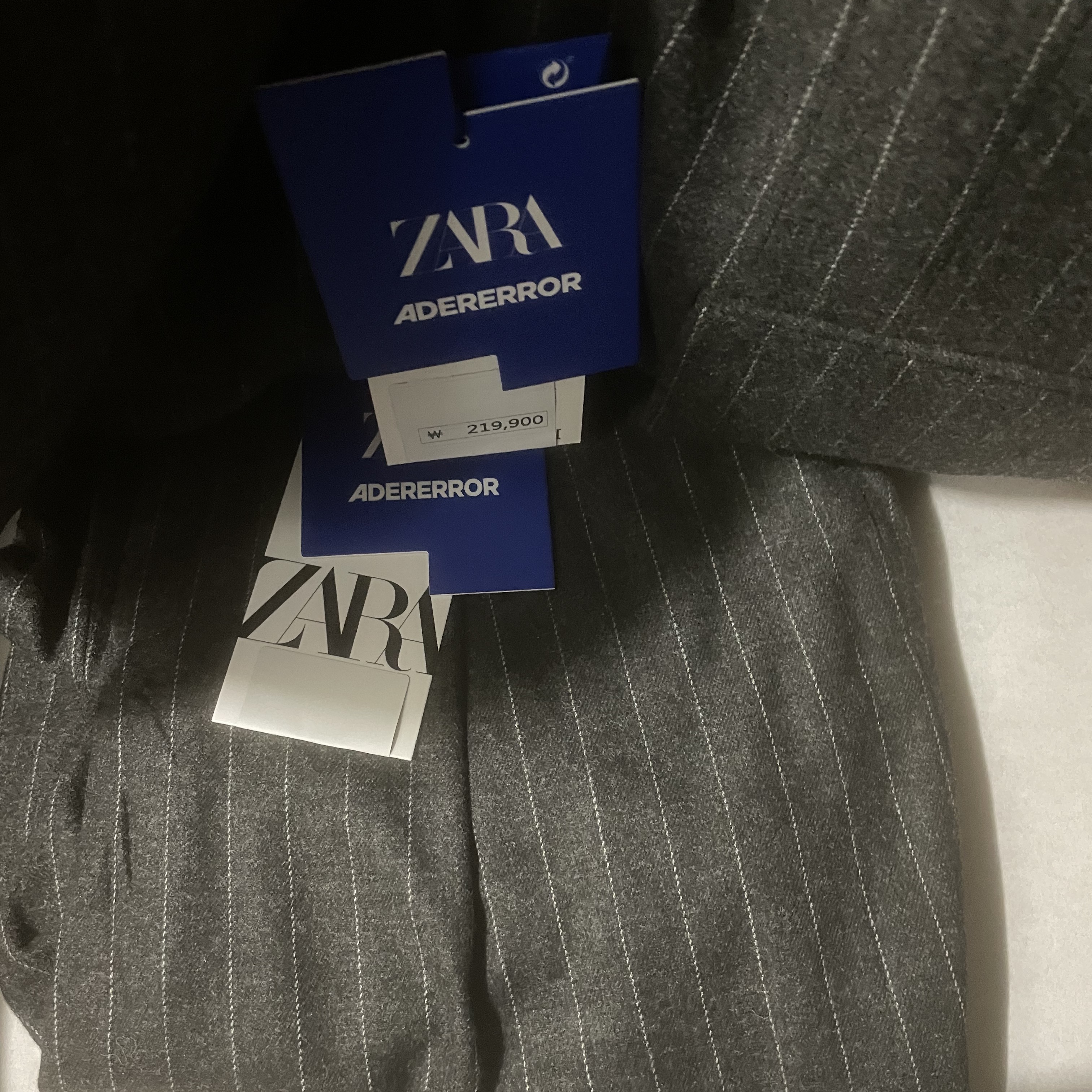 Zara x Ader Error Striped Oversize Blazer Grey, Zara x Ader Error Striped Trousers Grey 착용 스타일 - 3