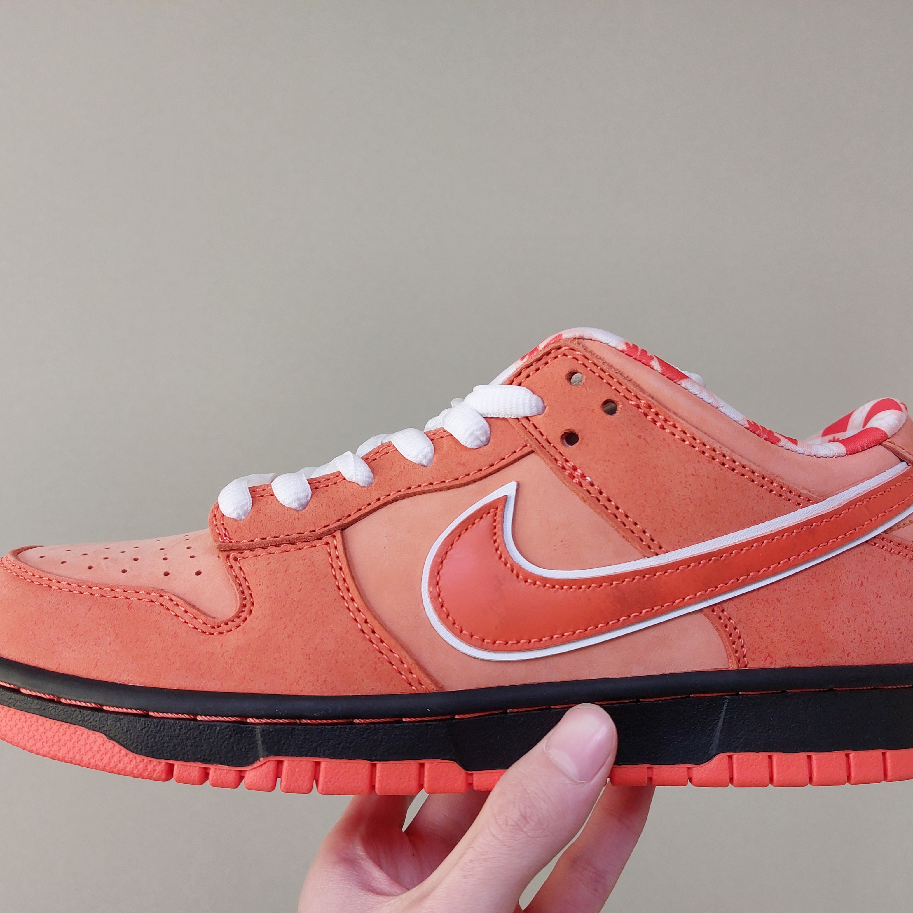 Nike x Concepts SB Dunk Low Orange Lobster (Special Box), Nike x Concepts SB Dunk Low Orange Lobster (Regular Box) 착용 스타일 - 3