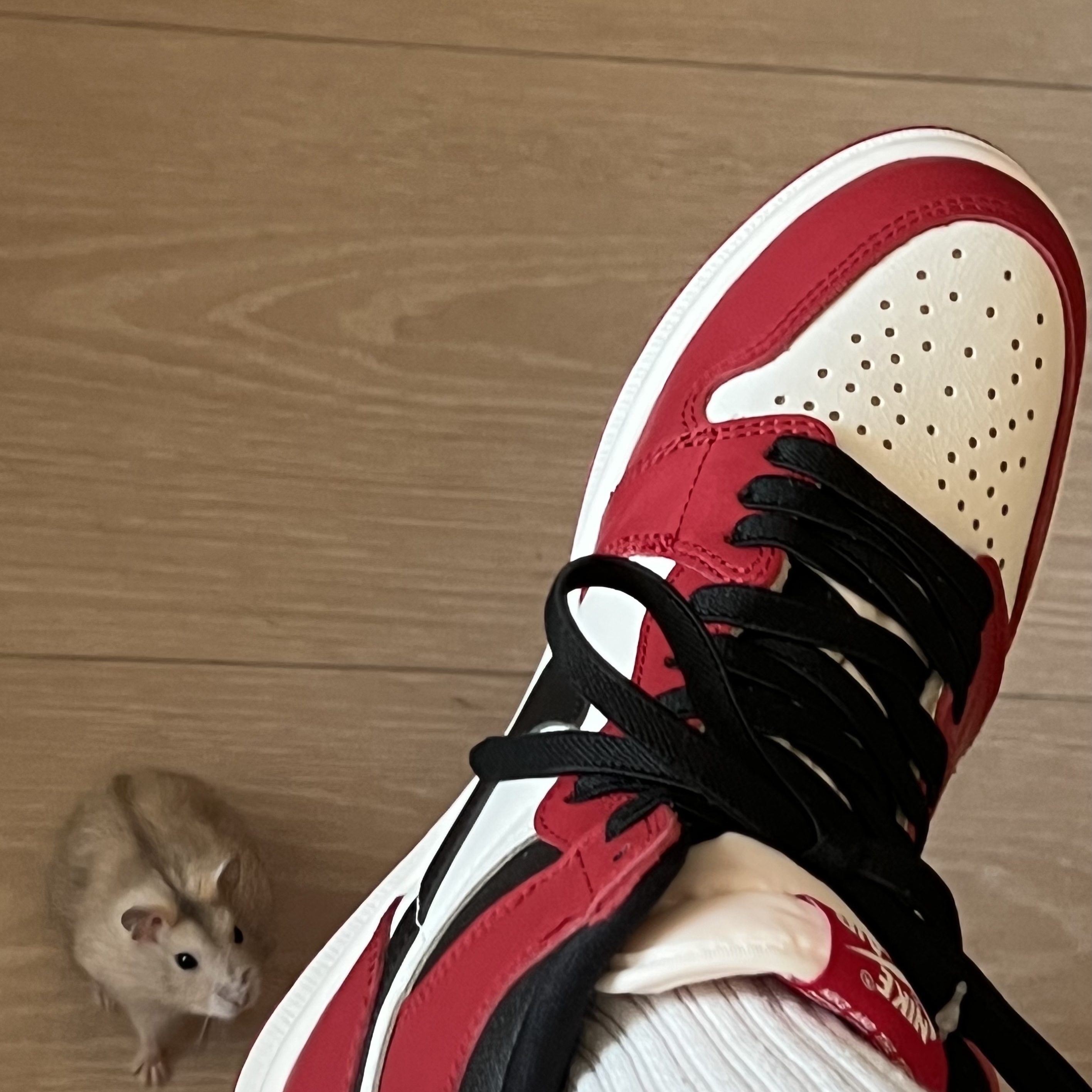 Jordan 1 Retro High OG Chicago 2022 착용 스타일 - 1