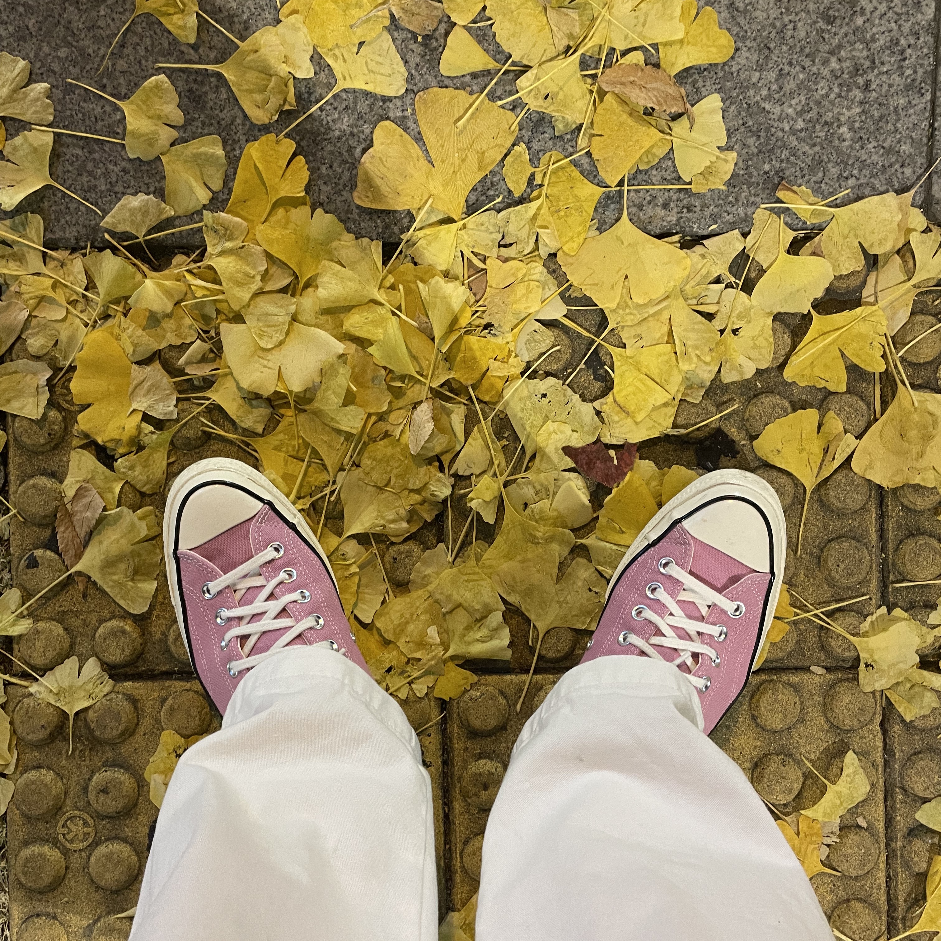 Converse Chuck 70 Ox Vintage Canvas Magic Flamingo 착용 스타일