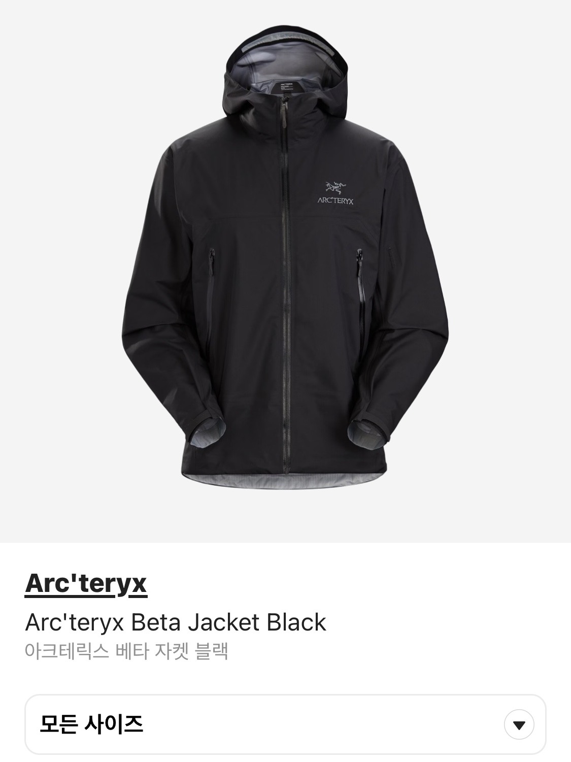 Arc'teryx Beta LT Jacket Black, Arc'teryx Beta Jacket Black 착용 스타일 - 2
