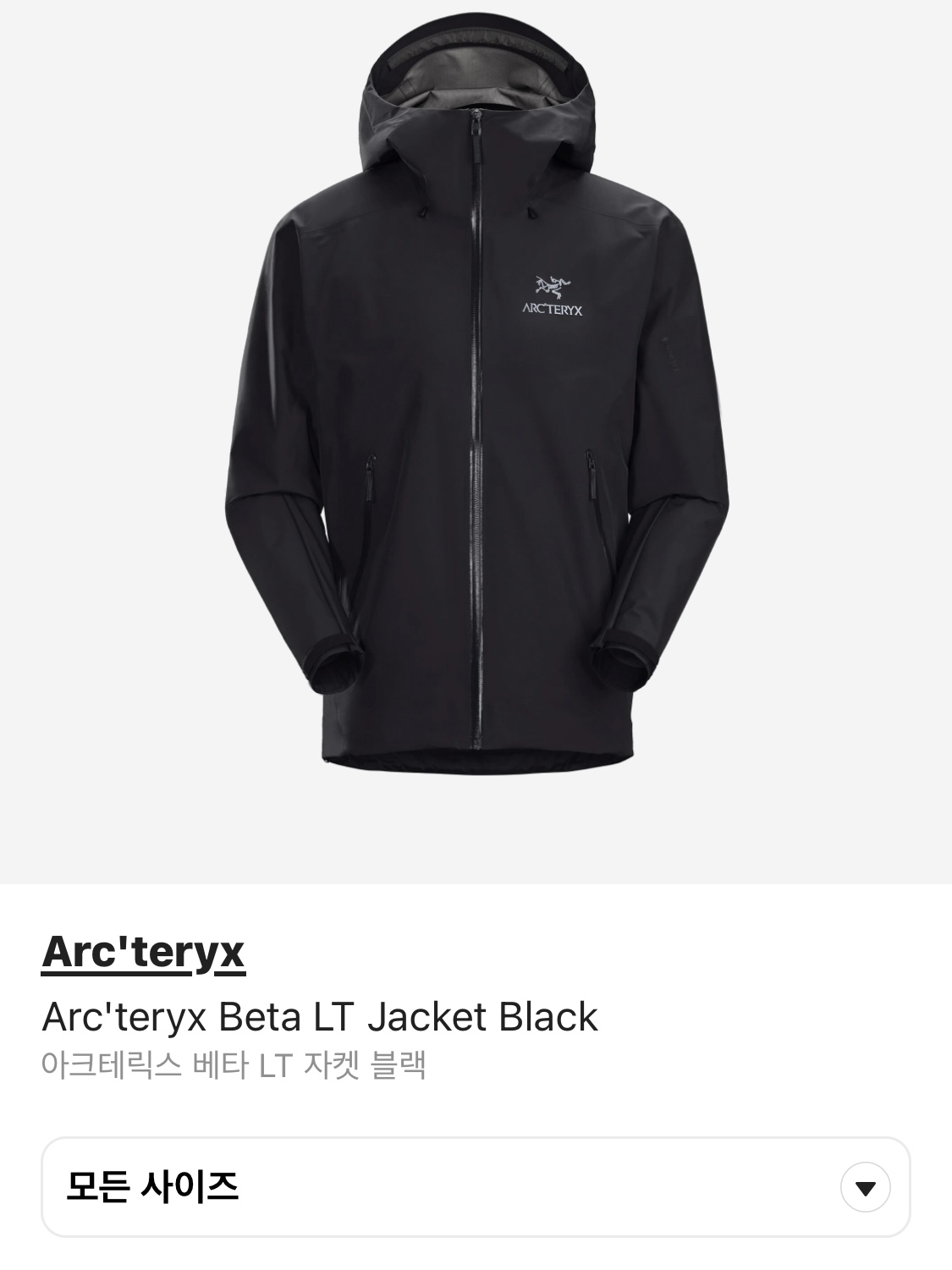 Arc'teryx Beta LT Jacket Black, Arc'teryx Beta Jacket Black 착용 스타일 - 1