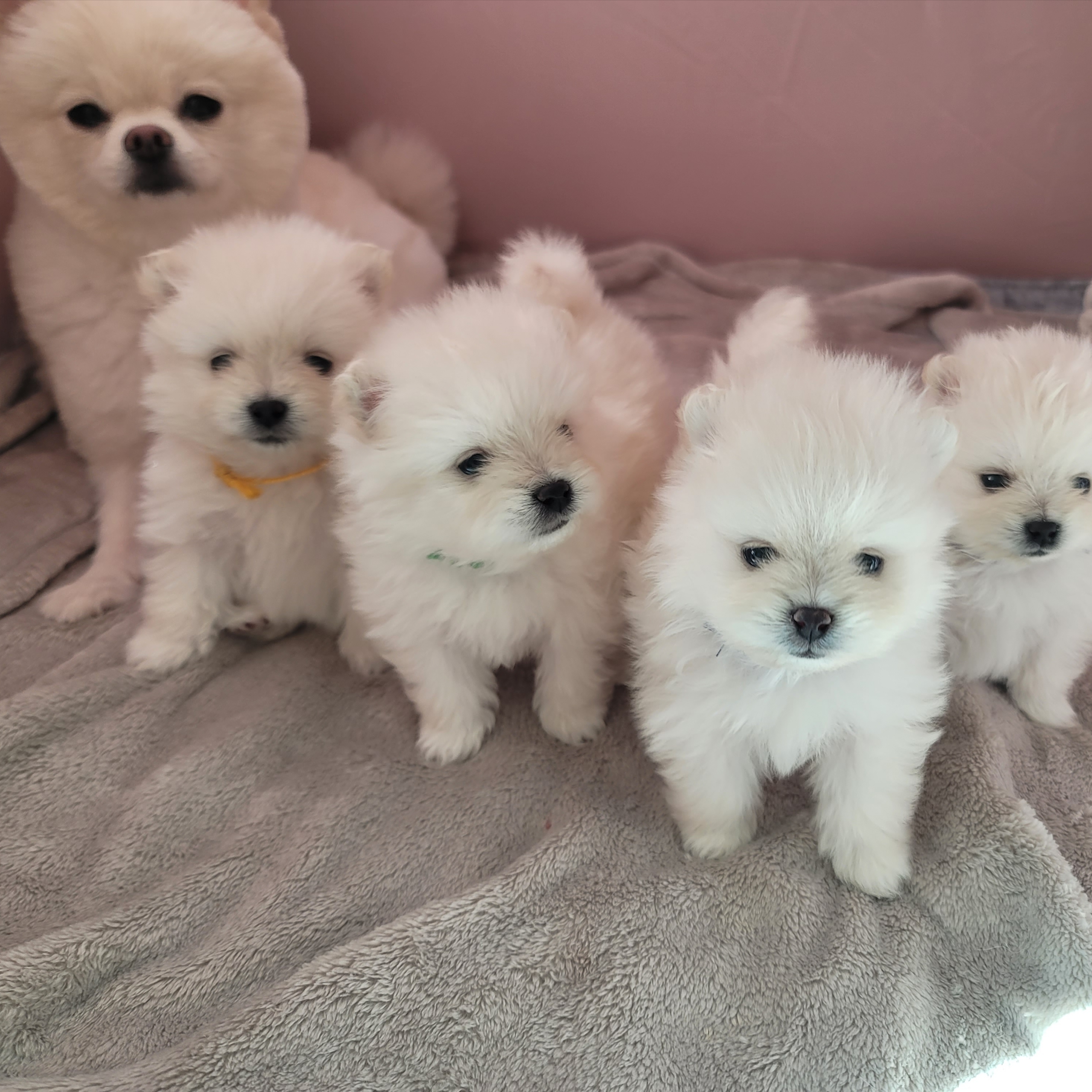김성록님의 스타일