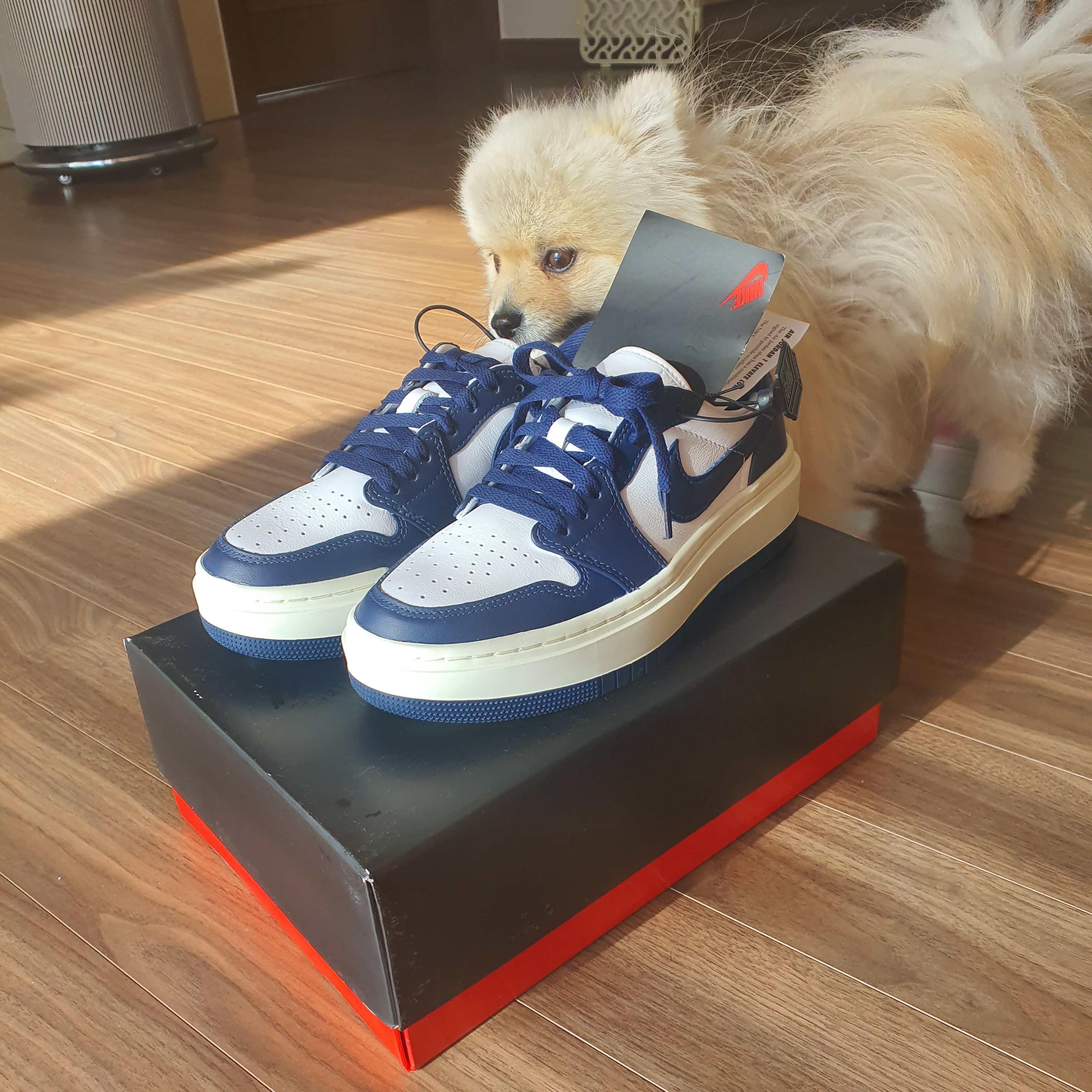 (W) Jordan 1 Elevate Low Midnight Navy 착용 스타일