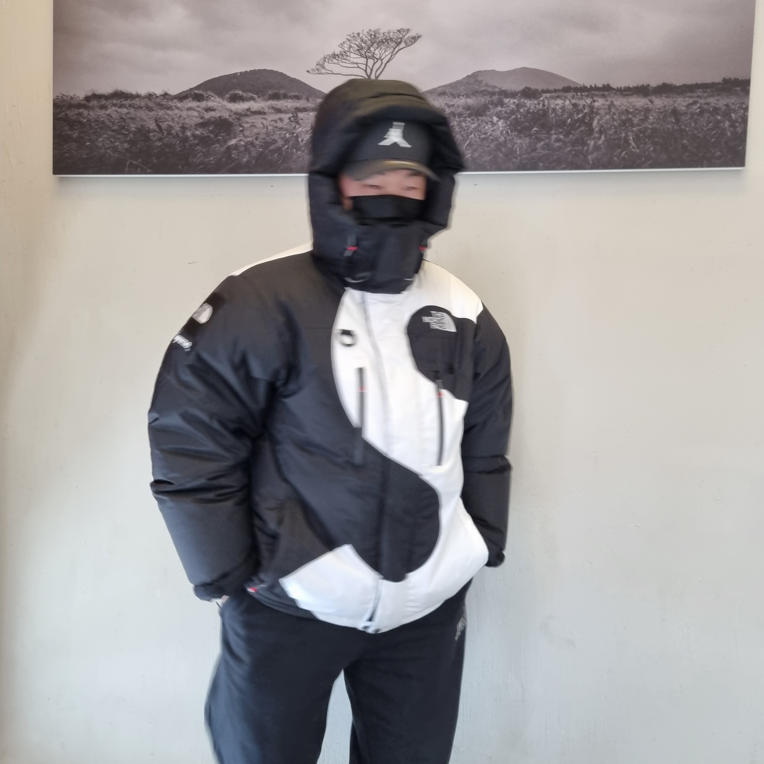 Supreme x The North Face S Logo Summit Series Himalayan Parka Black - 20FW, Nike x Stussy NRG RA Washed Pullover Hoodie Black (DN4028-010) 착용 스타일 - 2