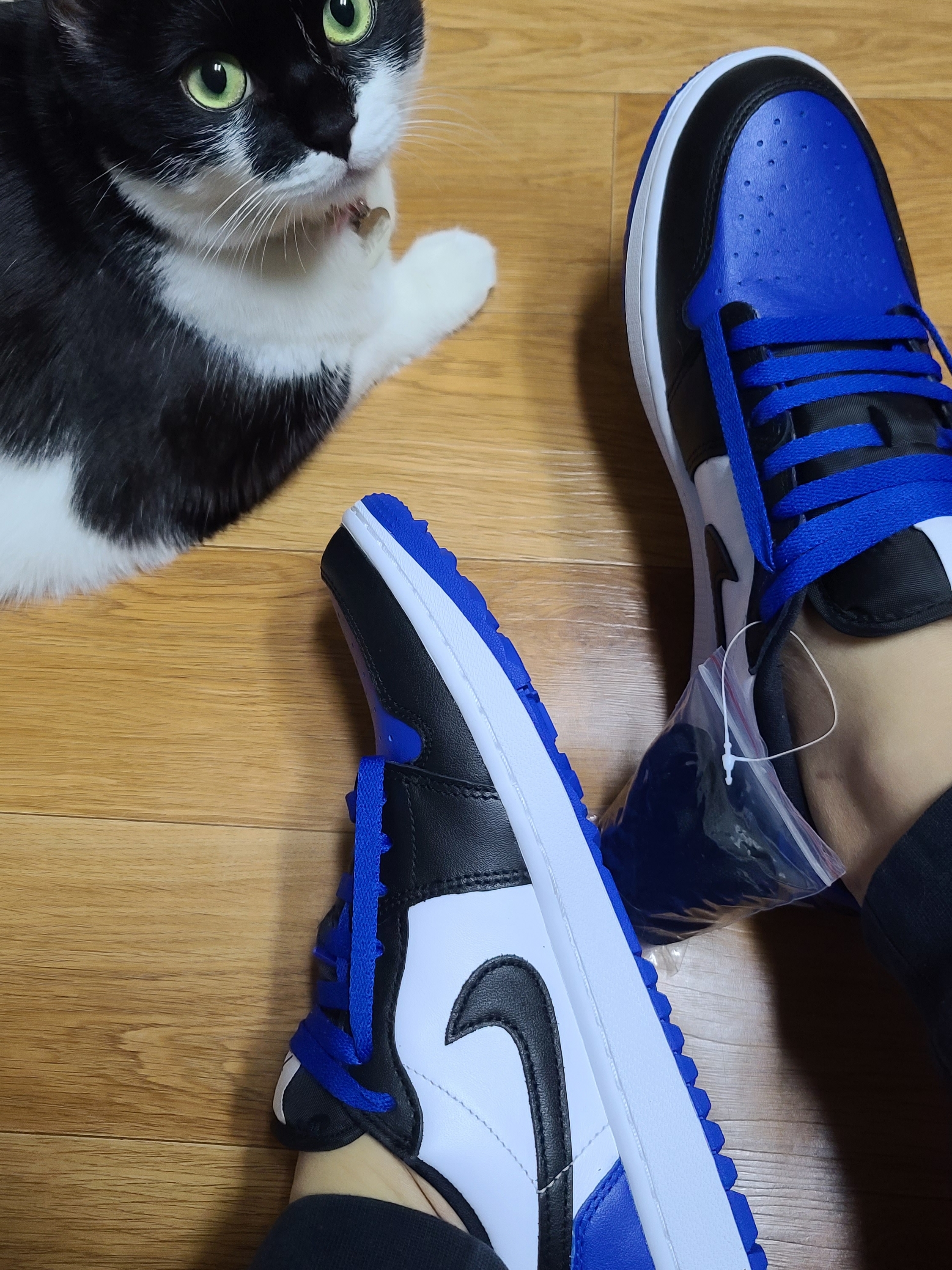 Jordan 1 Low Golf Sport Royal 착용 스타일 - 2