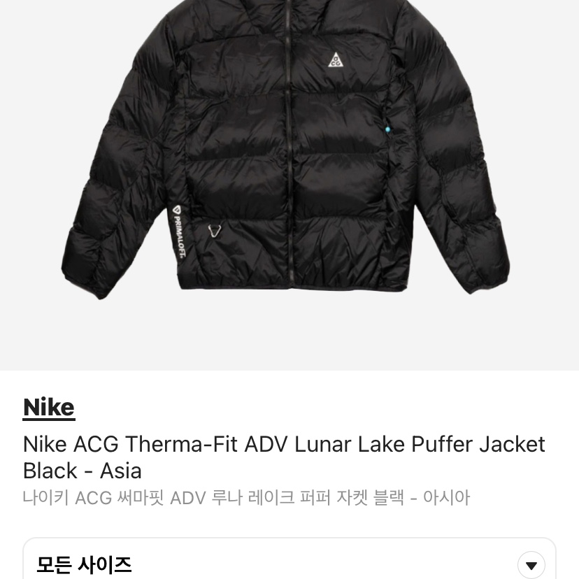 Nike ACG Therma-Fit ADV Lunar Lake Puffer Jacket Black - Asia 착용 스타일