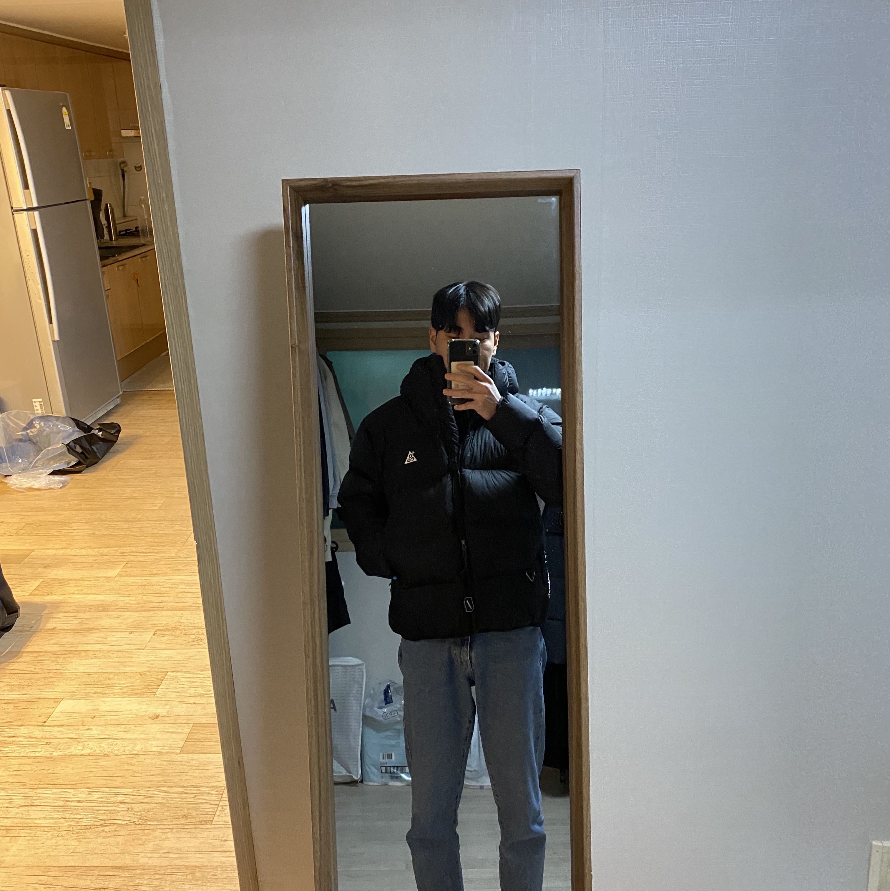 Nike ACG Therma-Fit ADV Lunar Lake Puffer Jacket Black - Asia 착용 스타일