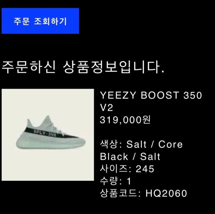 Adidas Yeezy Boost 350 V2 Salt Core Black 착용 스타일 - 5