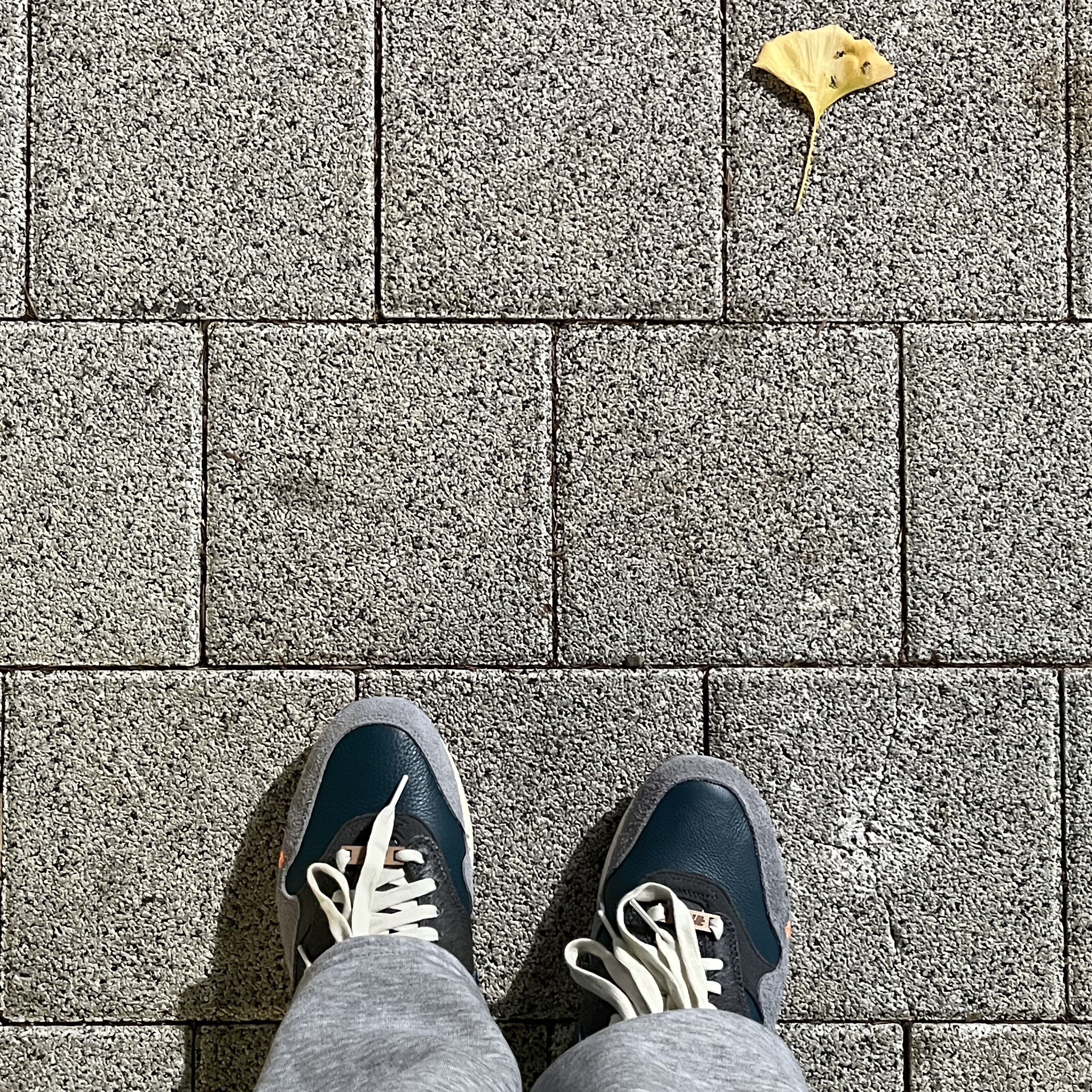 Nike x Kasina Air Max 1 SP Won-Ang Particle Grey 착용 스타일