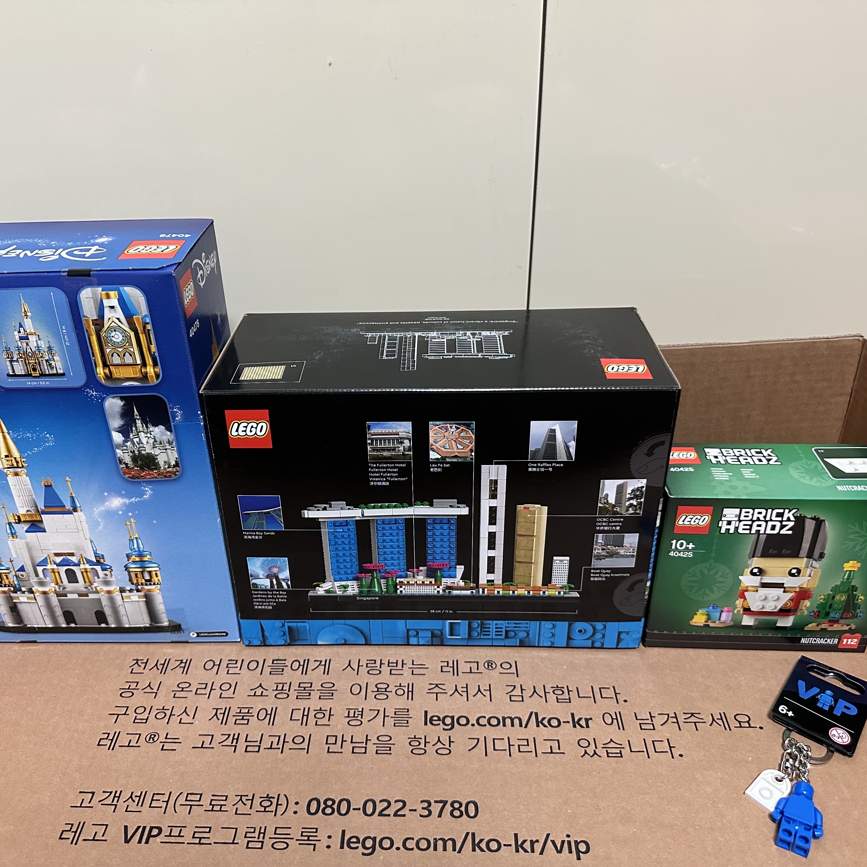 Lego Architecture Singapore, Lego Mini Disney Castle 착용 스타일 - 2