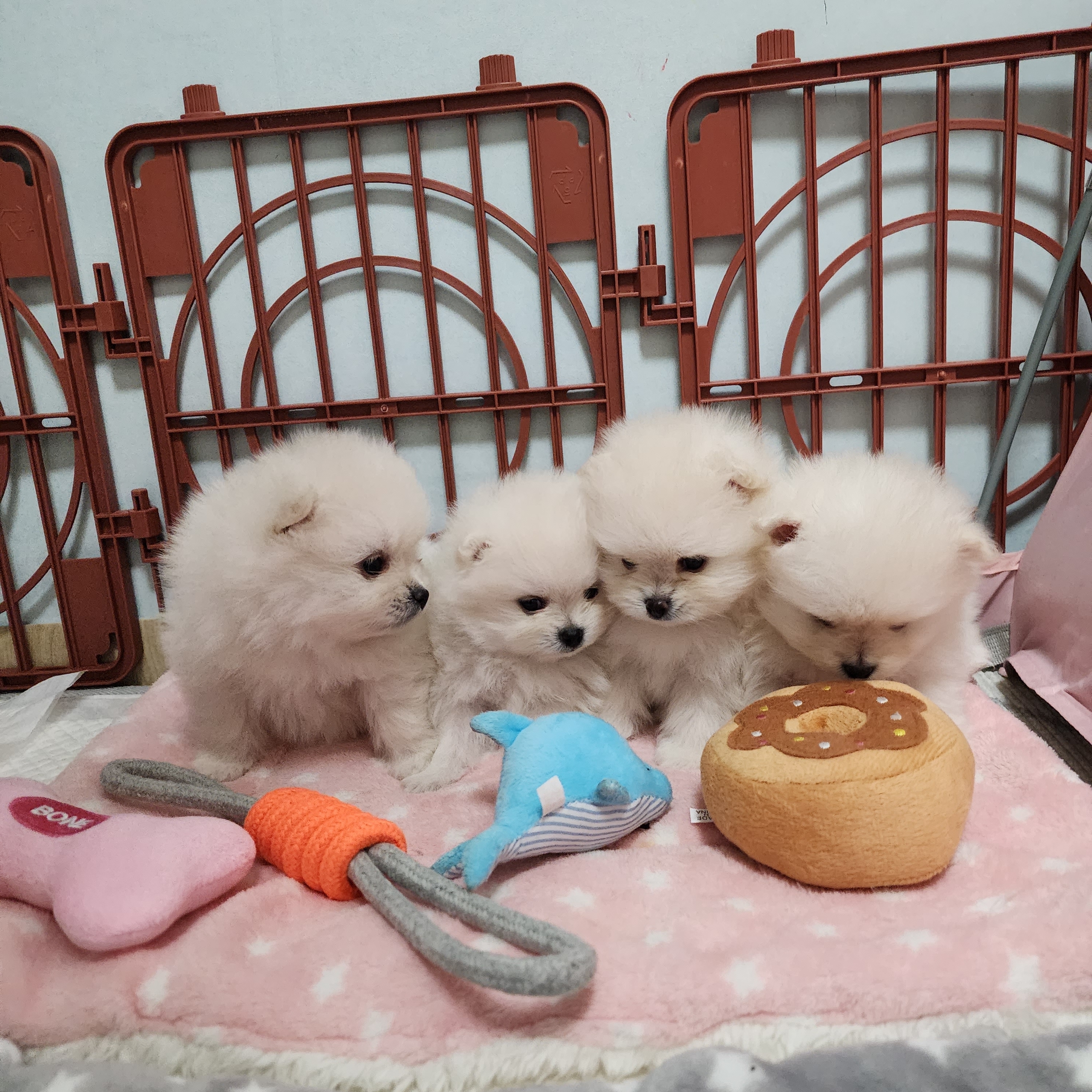 김성록님의 스타일 - 2