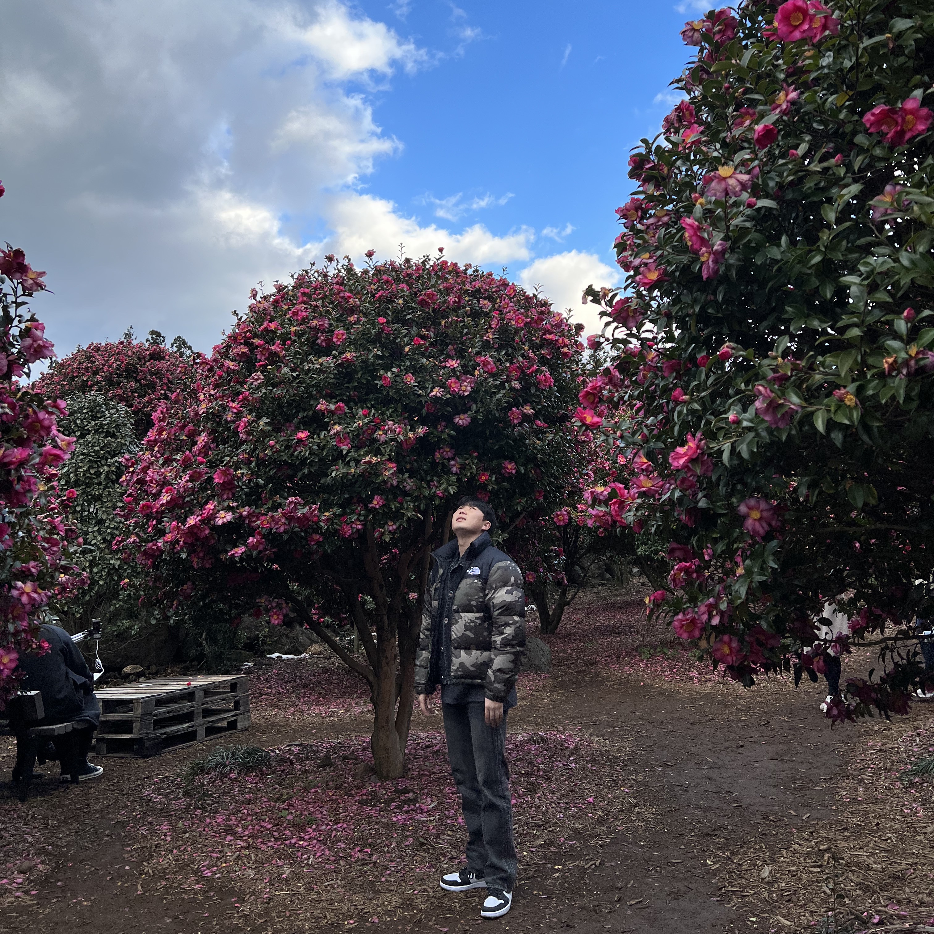 Jordan 1 Retro High OG Bleached Coral, The North Face 1996 Novelty Nuptse Jacket Woodland Camo 착용 스타일