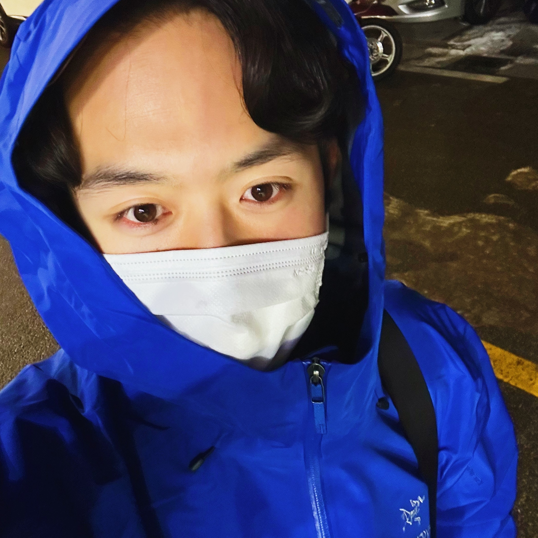 Arc'teryx Beta LT Jacket Vitality 착용 스타일 - 3