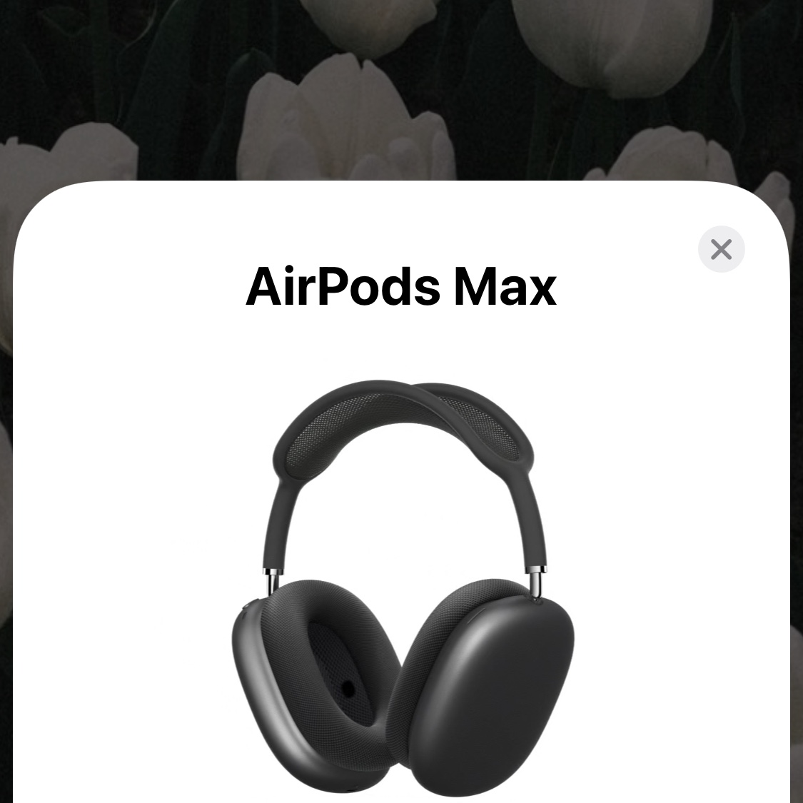 (W) Keen Shanti White Black, Apple AirPods Max Lightning Space Gray (Korean Ver.) 착용 스타일 - 3