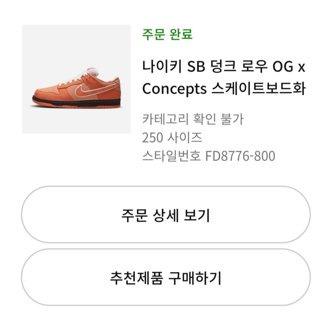 Nike x Concepts SB Dunk Low Orange Lobster (Regular Box) 착용 스타일