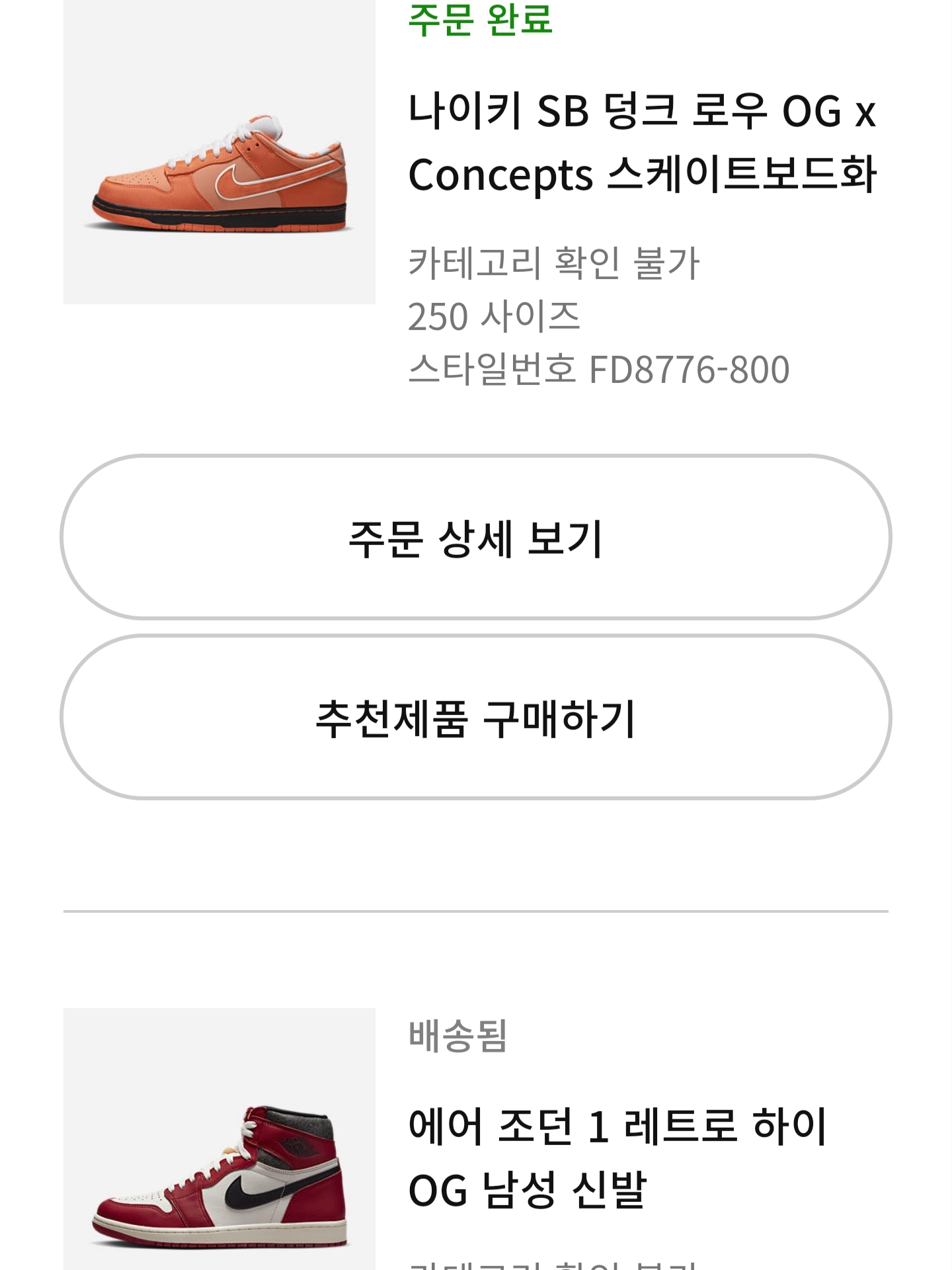 Nike x Concepts SB Dunk Low Orange Lobster (Regular Box) 착용 스타일
