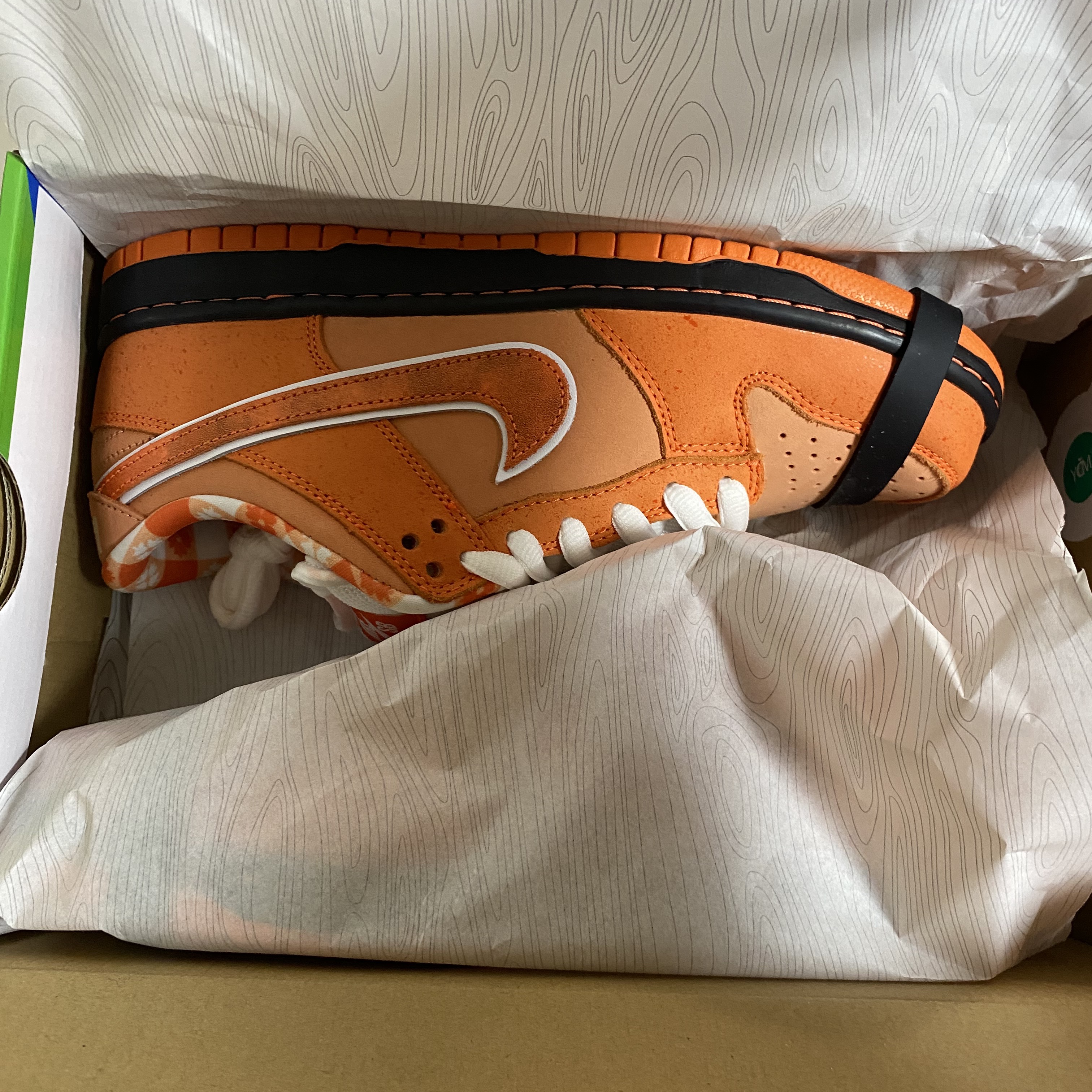 Nike x Concepts SB Dunk Low Orange Lobster (Regular Box) 착용 스타일