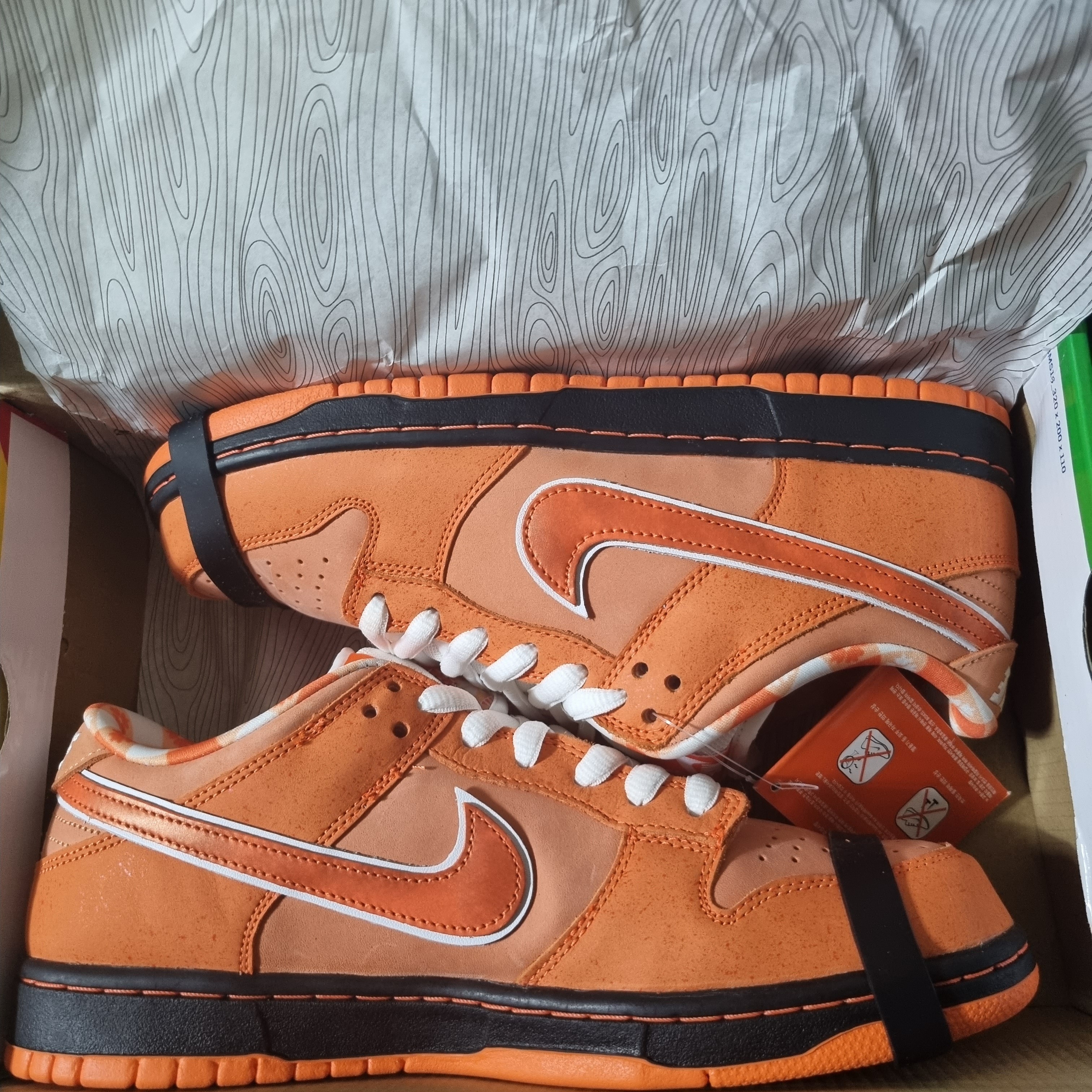 Nike x Concepts SB Dunk Low Orange Lobster (Regular Box) 착용 스타일
