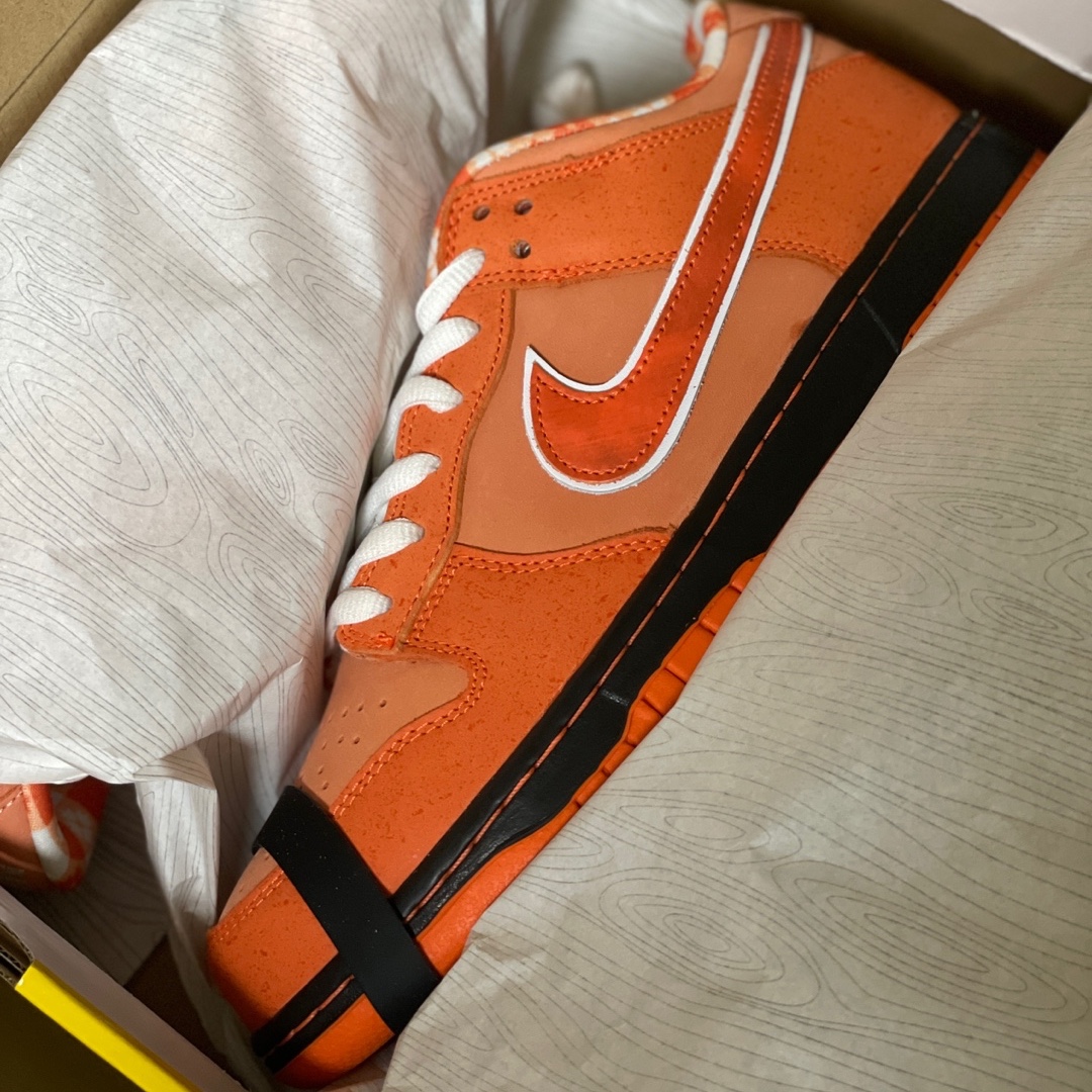 Nike x Concepts SB Dunk Low Orange Lobster (Regular Box) 착용 스타일