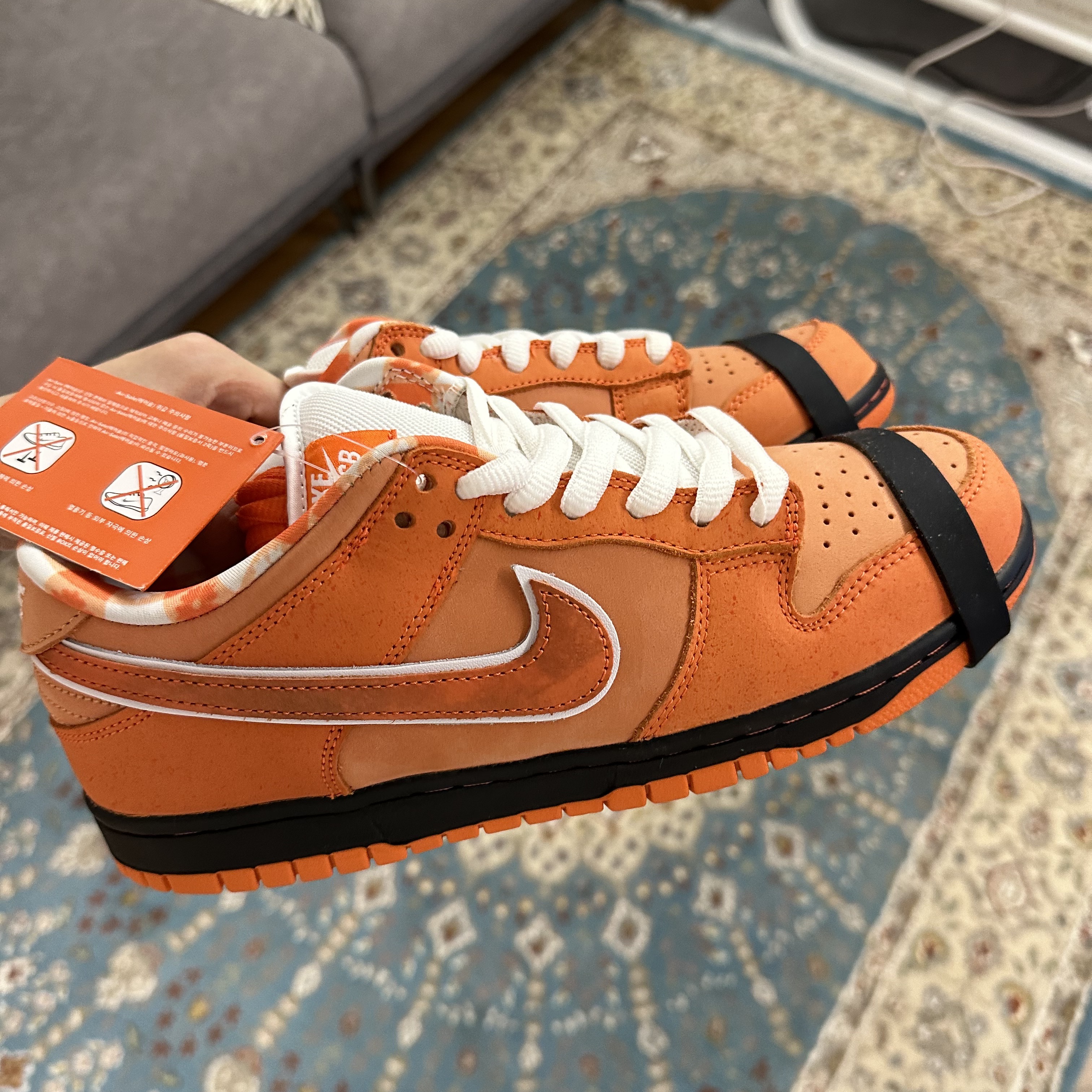 Nike x Concepts SB Dunk Low Orange Lobster (Regular Box) 착용 스타일