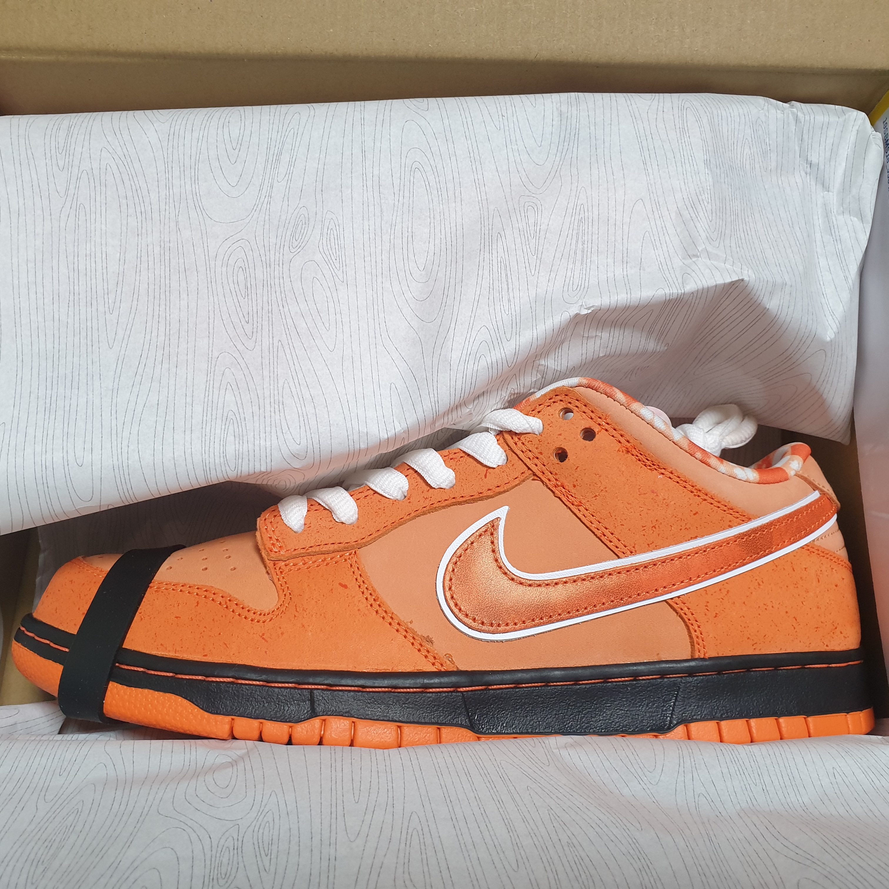 Nike x Concepts SB Dunk Low Orange Lobster (Regular Box) 착용 스타일