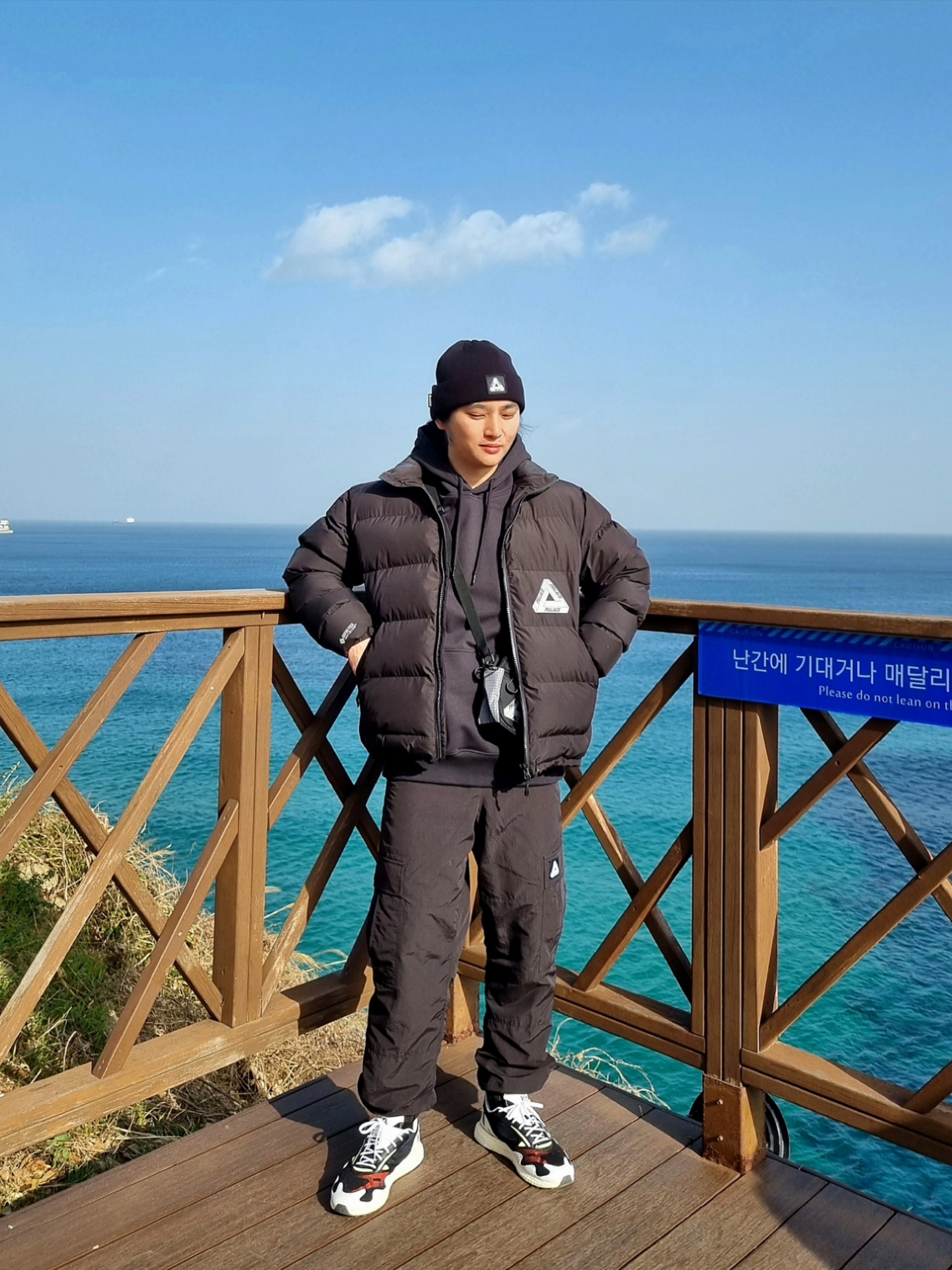 Palace Gore-Tex Infinium Puffa Black - 20FW, Palace Gore-Tex Tri-Ferg Patch Beanie Black - 21FW 착용 스타일