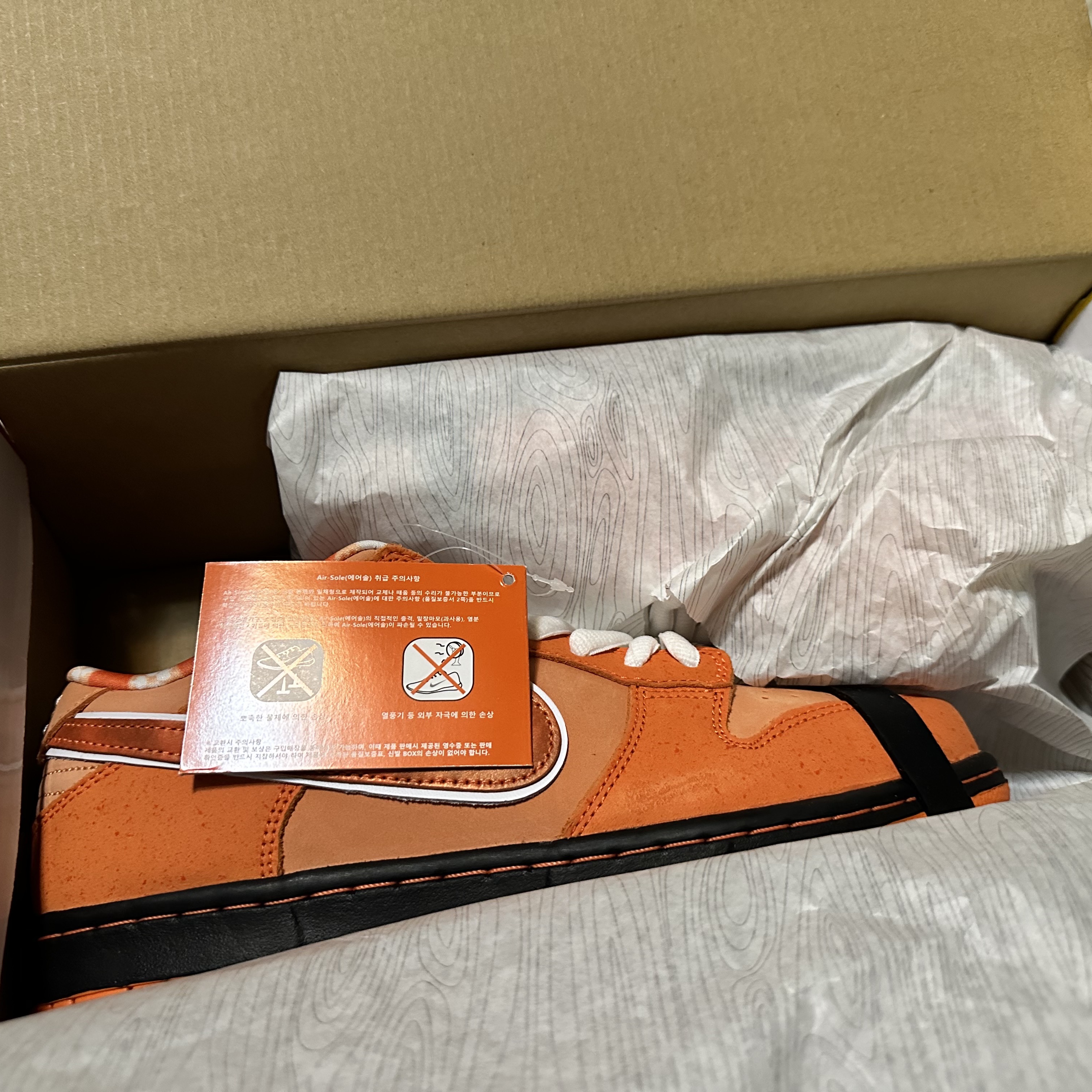 Nike x Concepts SB Dunk Low Orange Lobster (Regular Box) 착용 스타일 - 1