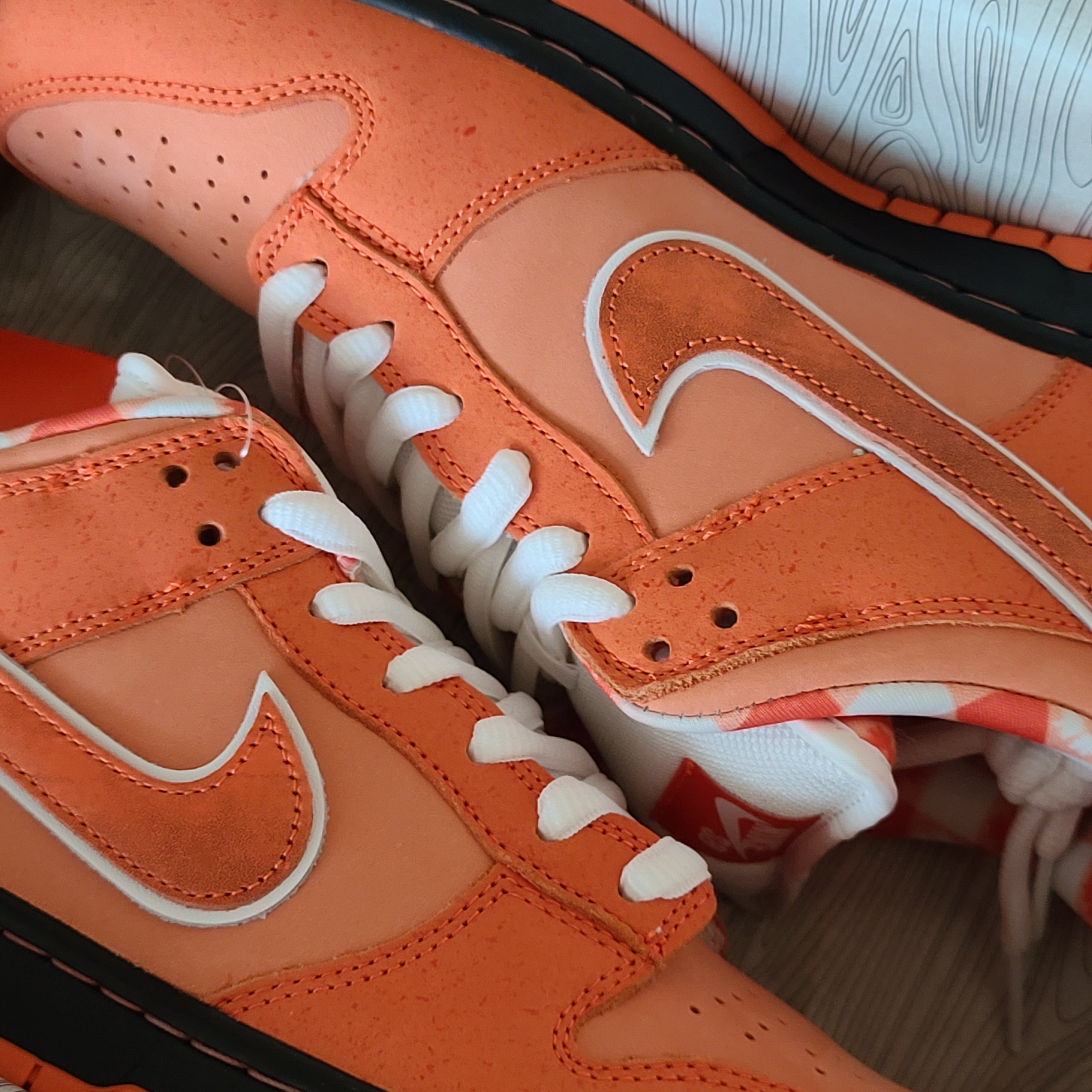 Nike x Concepts SB Dunk Low Orange Lobster (Regular Box) 착용 스타일